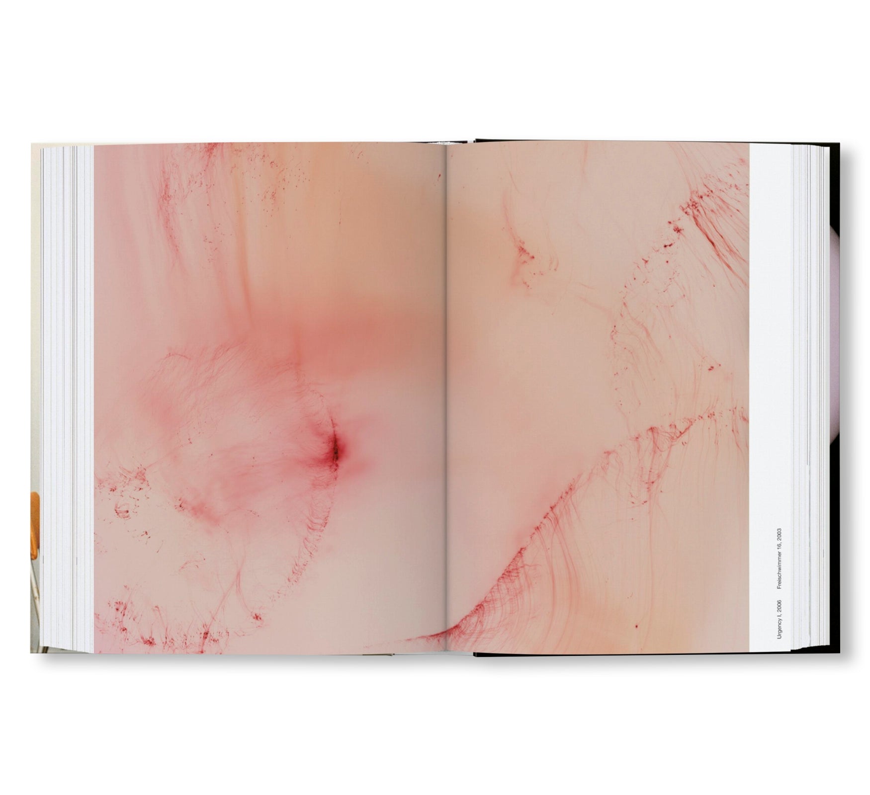 WOLFGANG TILLMANS FOUR BOOKS by Wolfgang Tillmans [ENGLISH / 45TH EDITION]