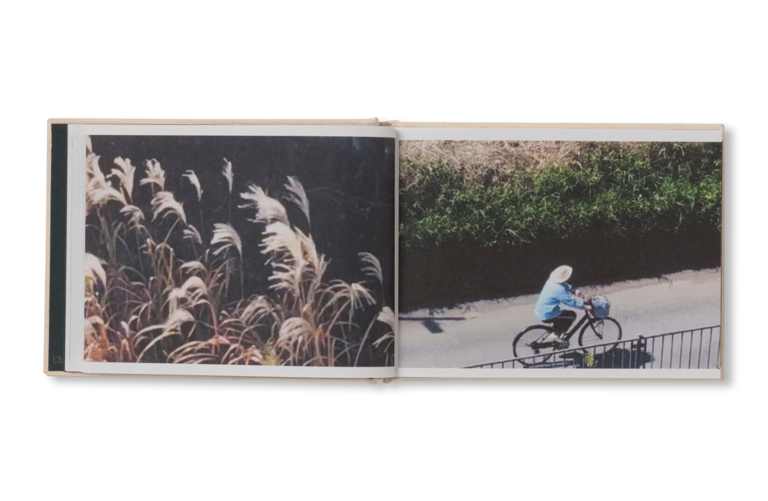 SCREENSHOTS FROM A SERIES OF VIDEOS ABOUT A RICE FIELD AND ITS SURROUNDINGS by Cintia Tortosa Santisteban