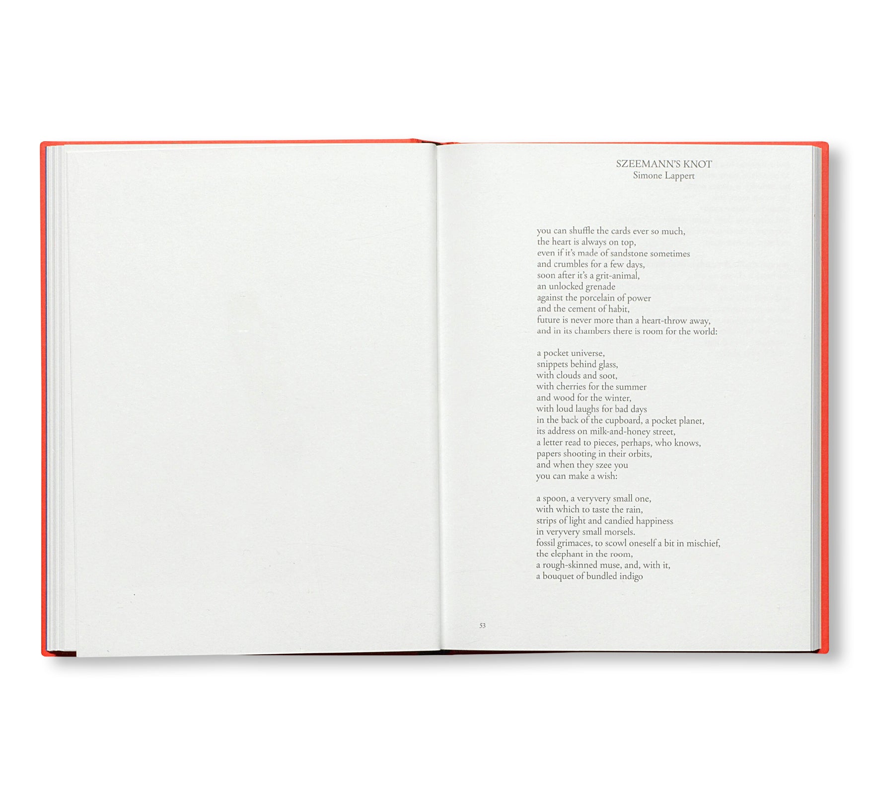 PRETENZIONE INTENZIONE – OBJECTS OF BEAUTY AND BEWILDERMENT FROM THE ARCHIVE OF HARALD SZEEMANN by Harald Szeemann