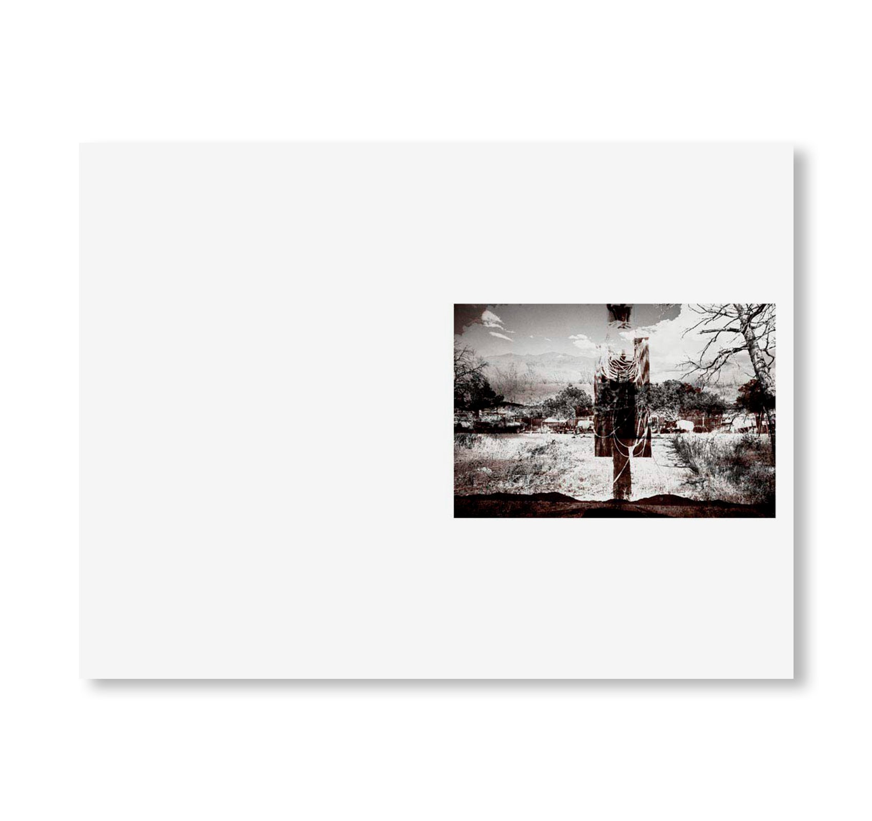 SWAMP by Christopher Wool [SIGNED]