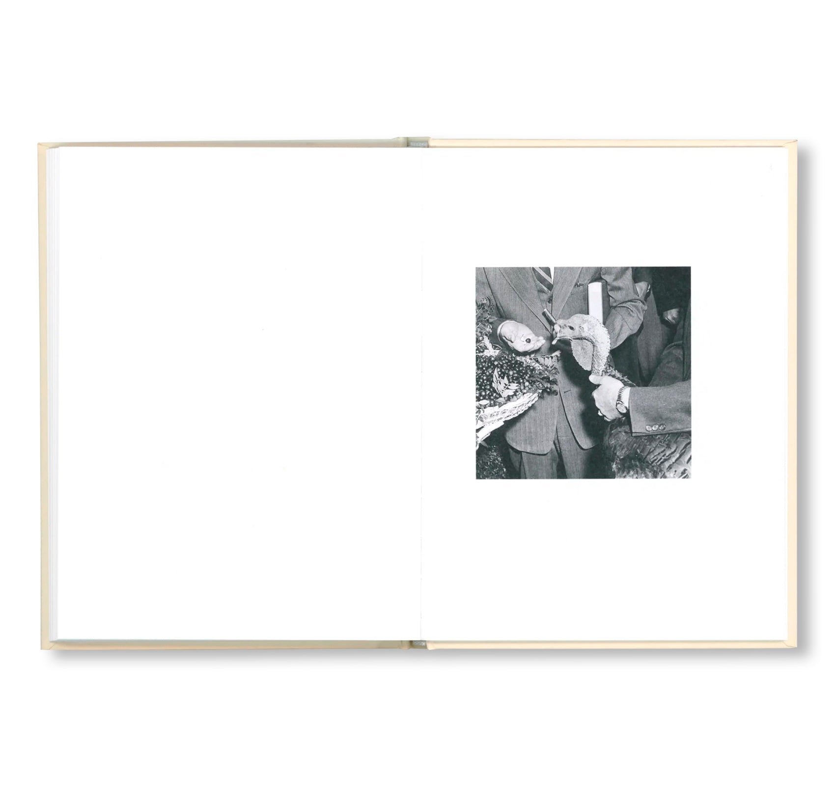 PARDON ME by Gardar Eide Einarsson