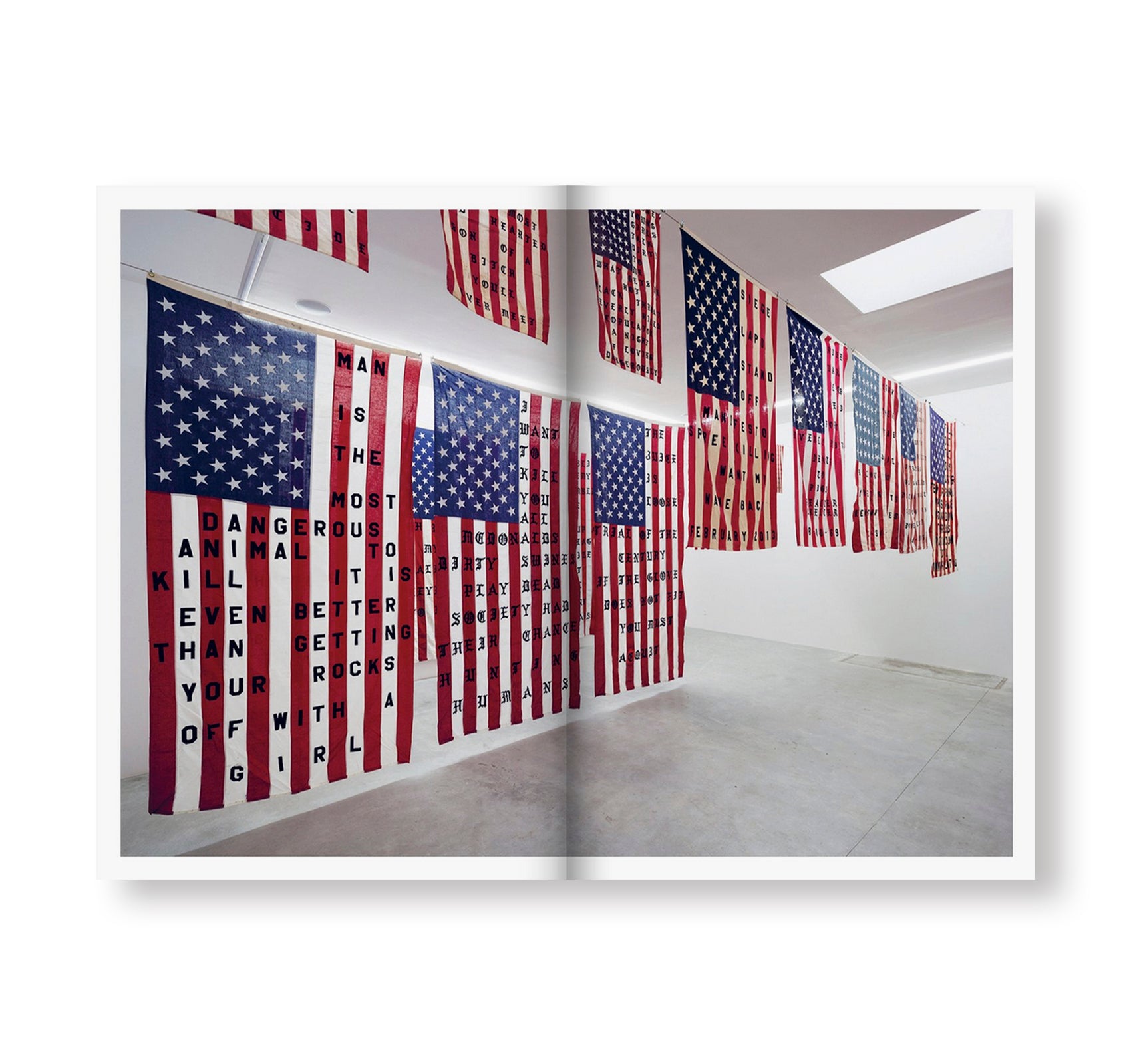 29 FLAGS by Cali Thornhill DeWitt