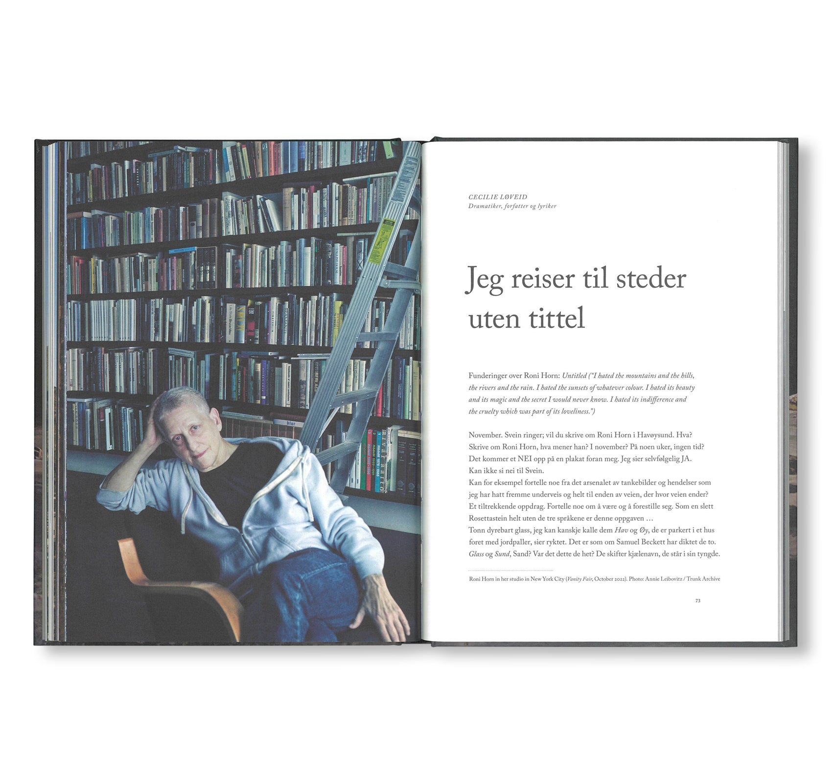 UNTITLED by Roni Horn