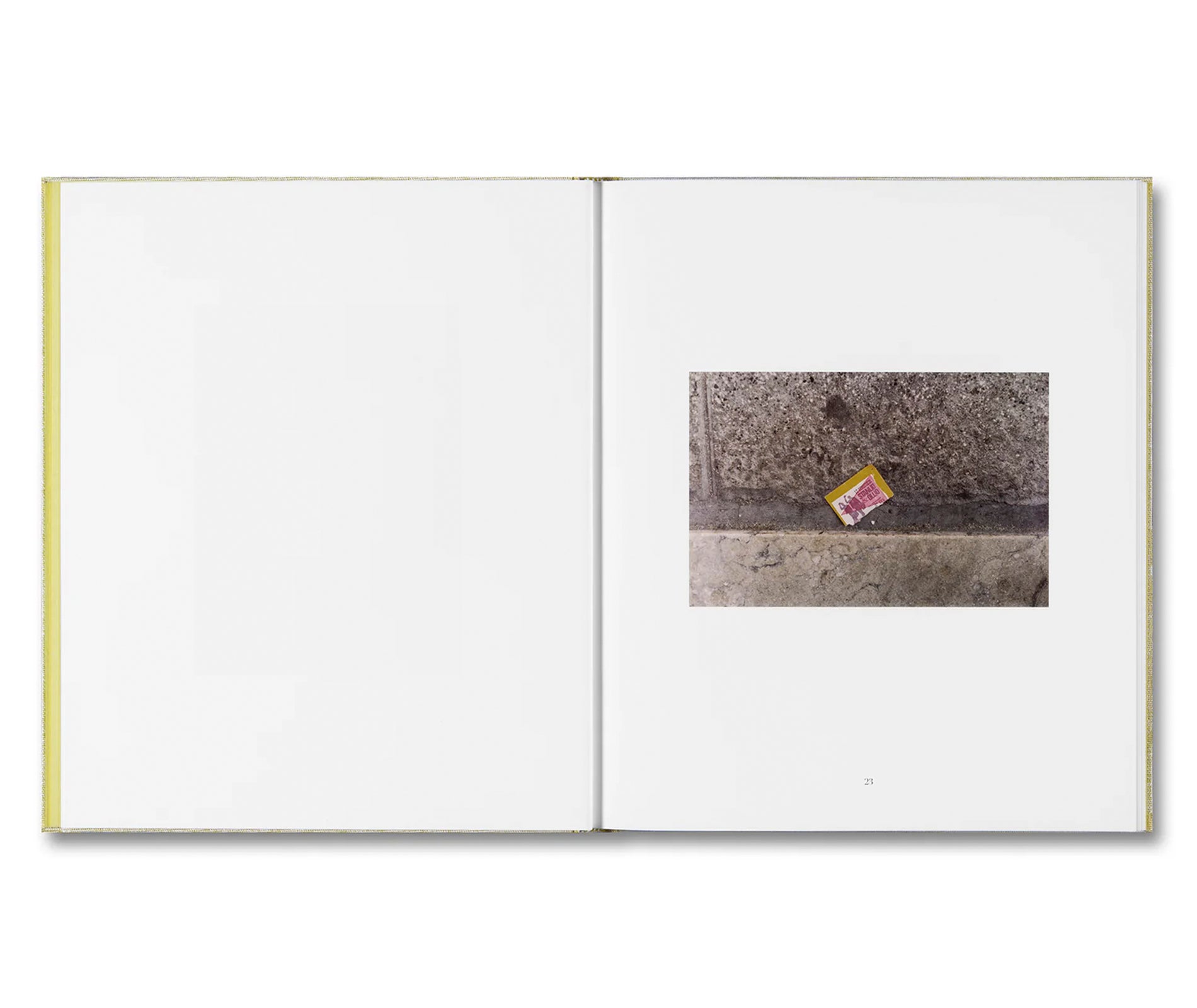 LUIGI GHIRRI FELICITÀ by Alessio Bolzoni, Luca Guadagnino