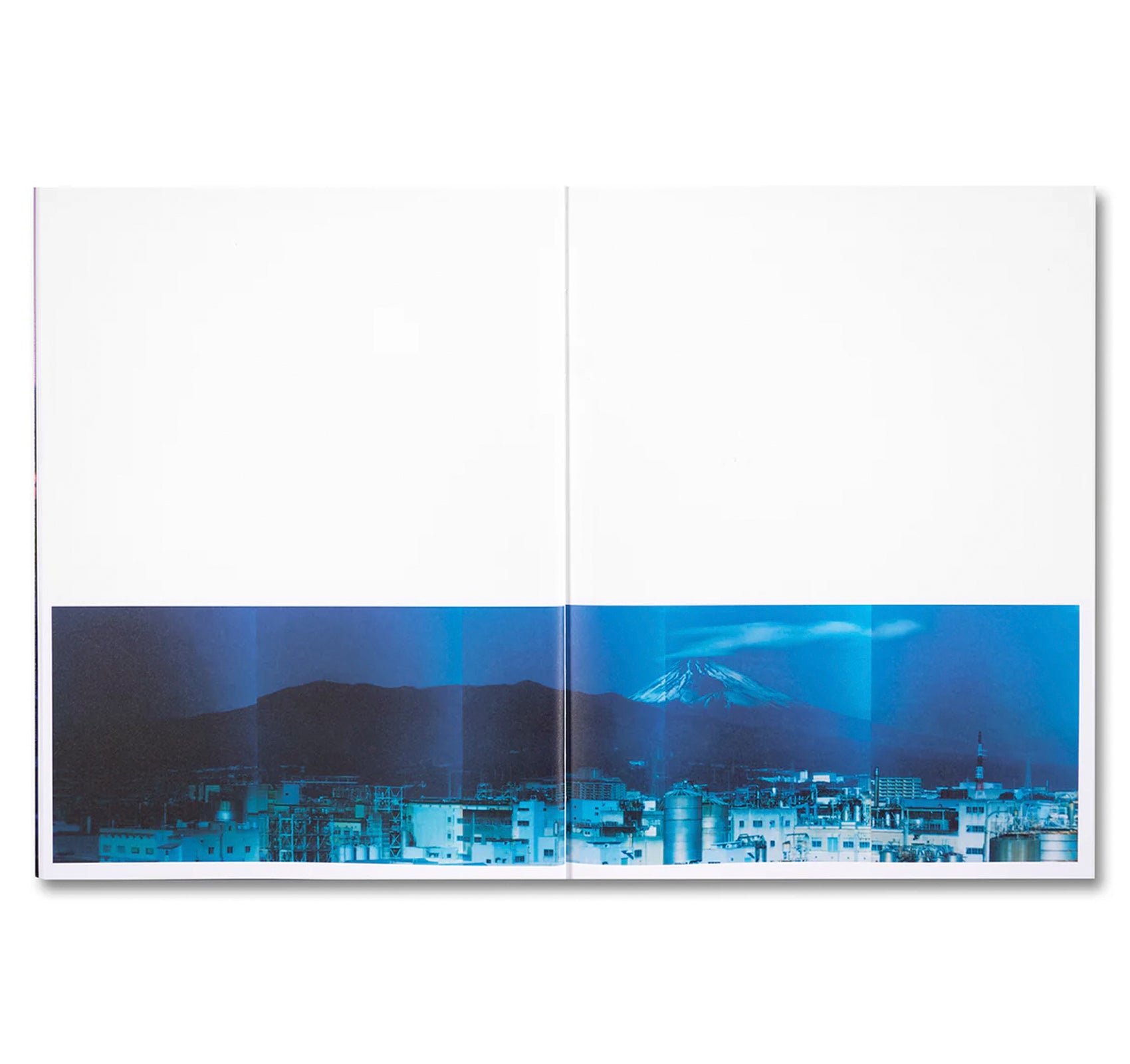 THIRTY-SIX VIEWS OF MOUNT FUJI by Takashi Homma
