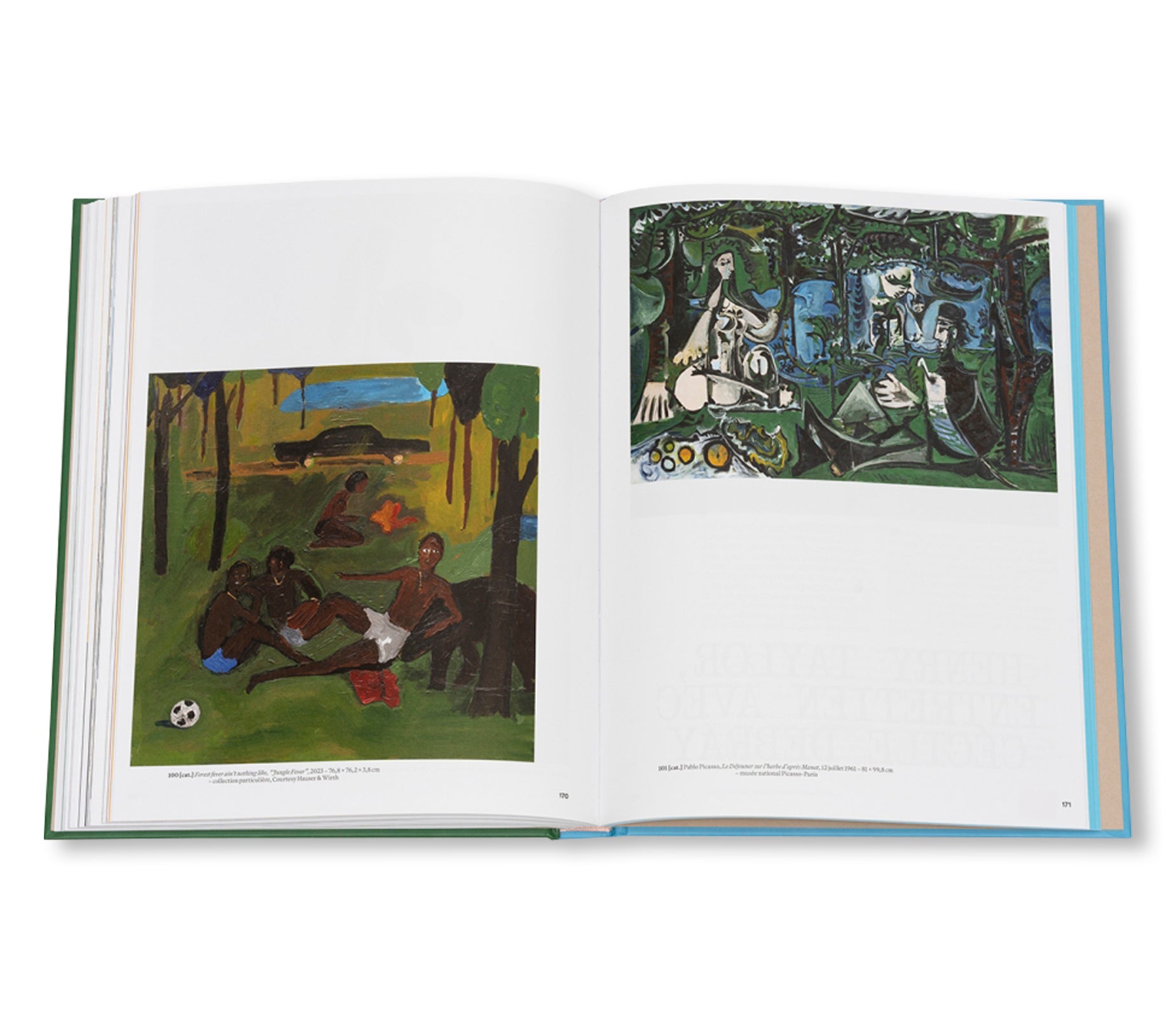 HENRY TAYLOR by Henry Taylor (ÉDITIONS DILECTA)