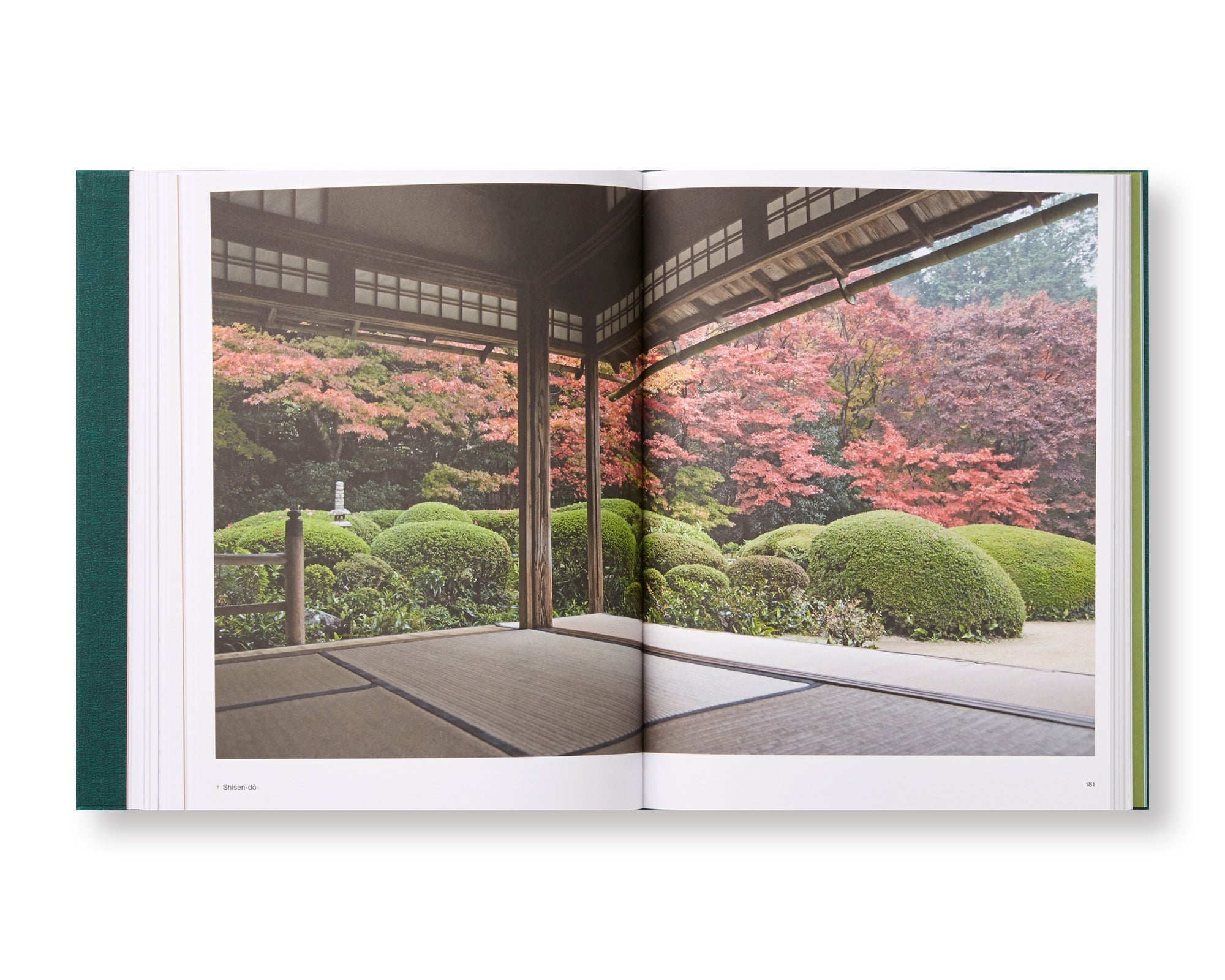 THE JAPANESE GARDEN by Sophie Walker