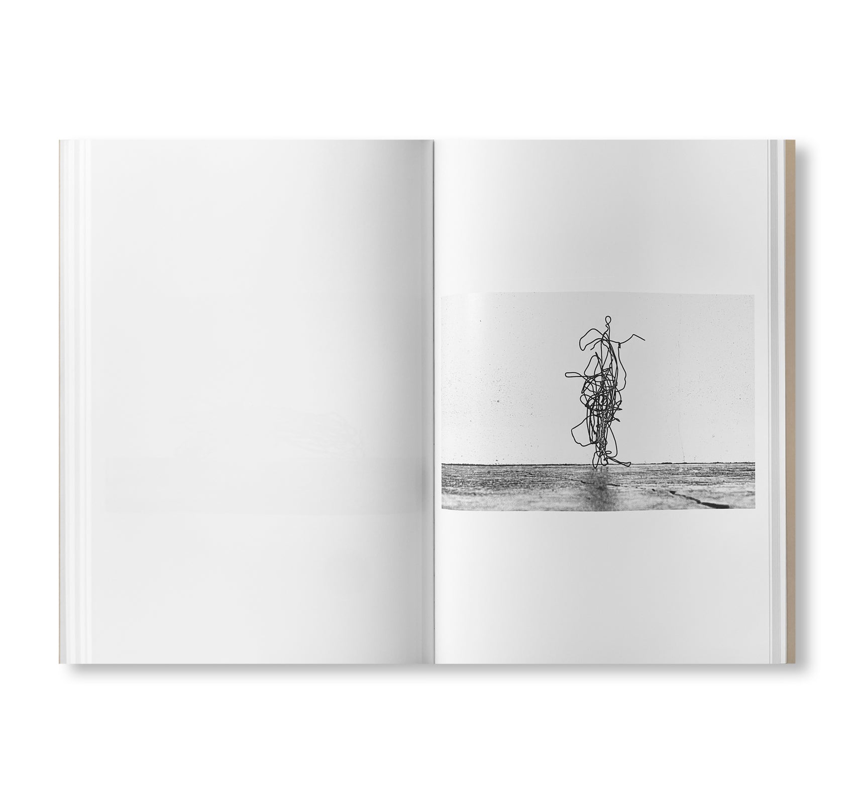 BAD RABBIT by Christopher Wool [SIGNED]