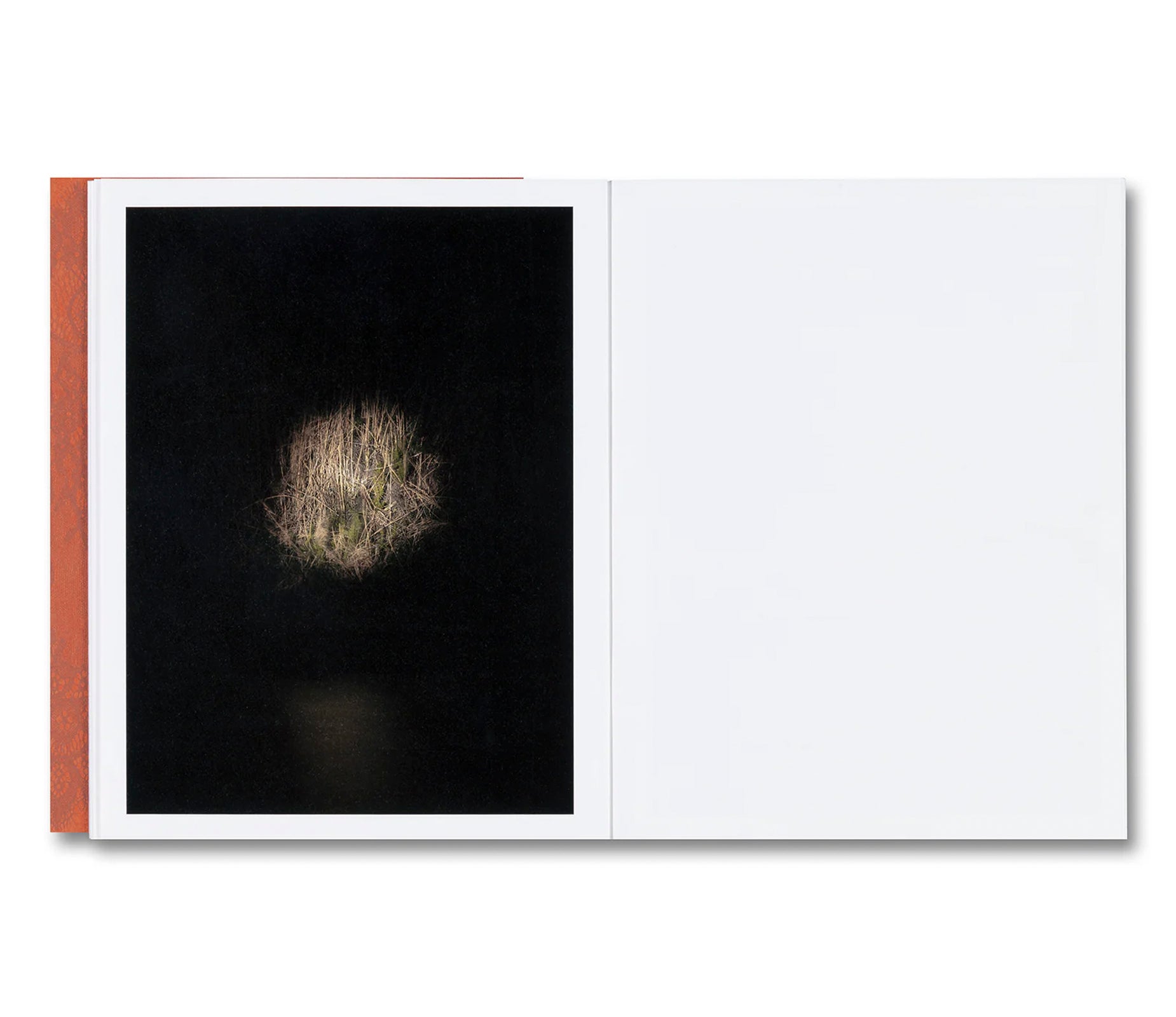 I’LL LET YOU BE IN MY DREAMS IF I CAN BE IN YOURS by Carolyn Drake, Andres Gonzalez [SIGNED]