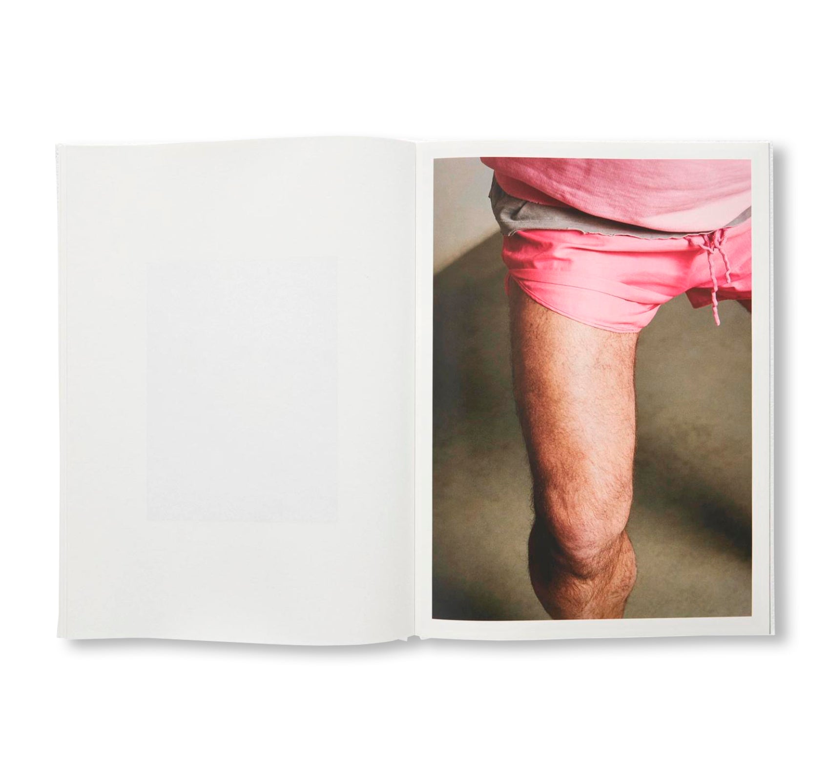 GABORITRONALDHAMILTON by Anthea Hamilton, Delphine Gaborit, Lewis Ronald
