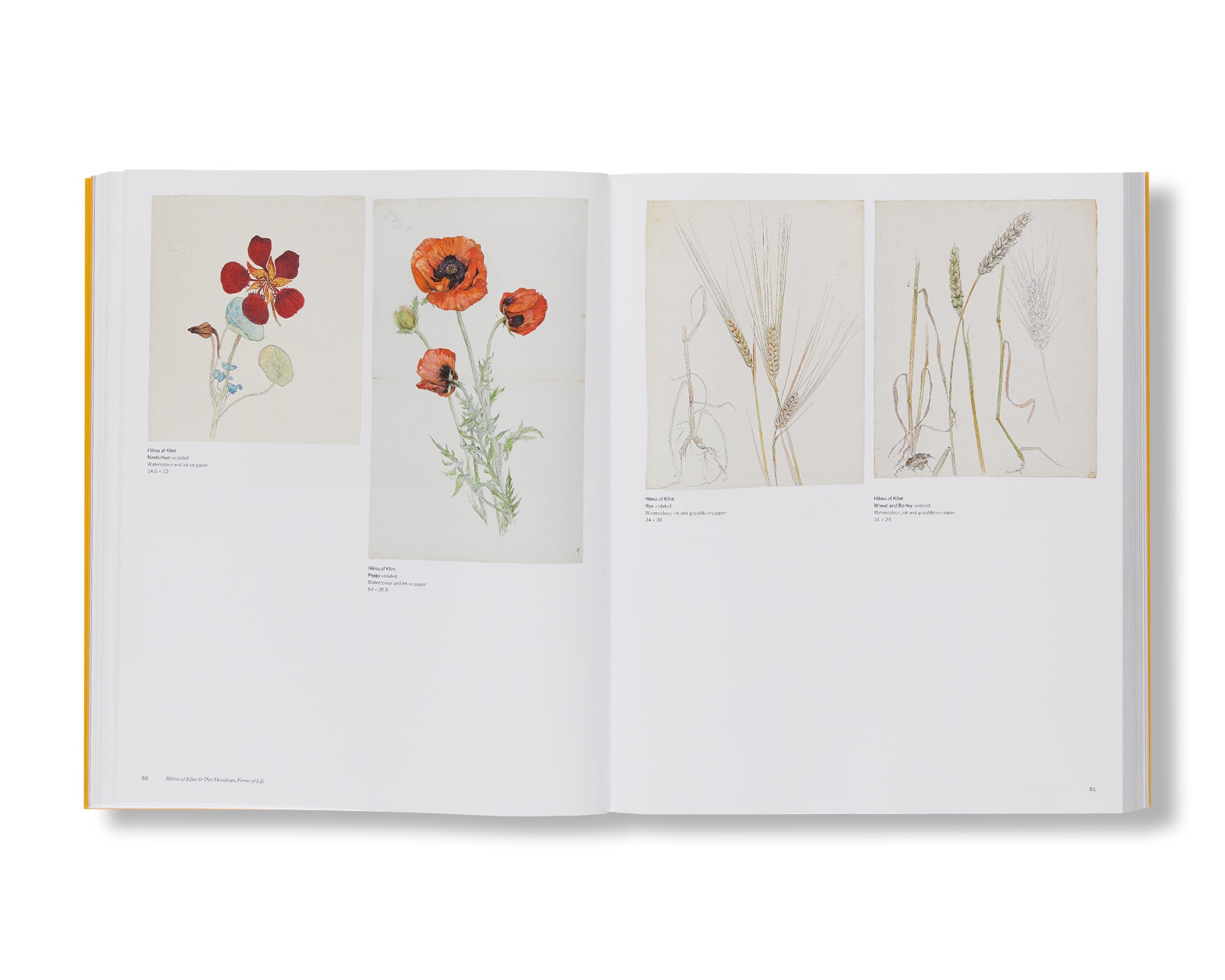 HILMA AF KLINT AND PIET MONDRIAN: FORMS OF LIFE by Hilma af Klint, Piet Mondrian [SOFTCOVER]