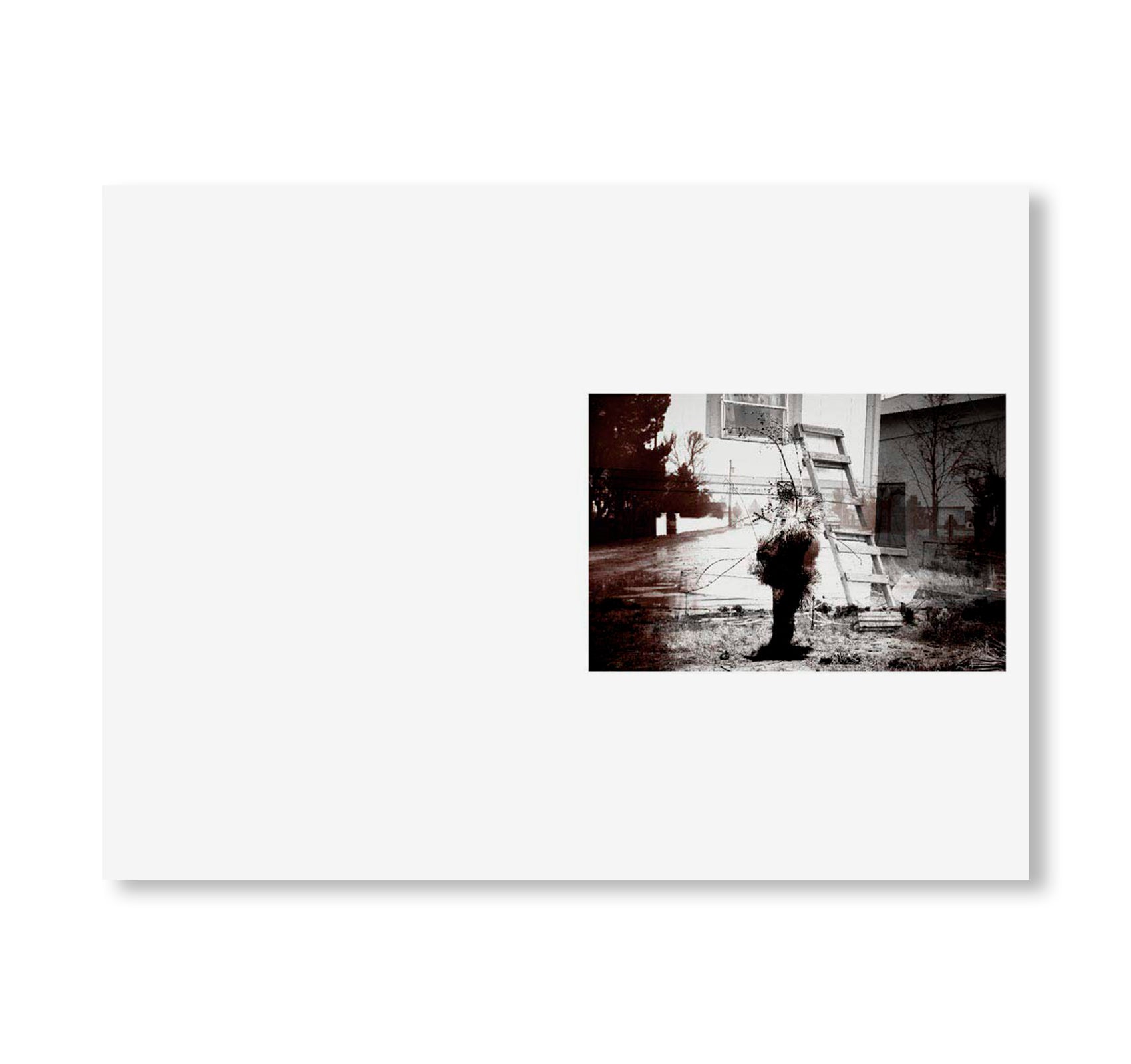 SWAMP by Christopher Wool [SIGNED]