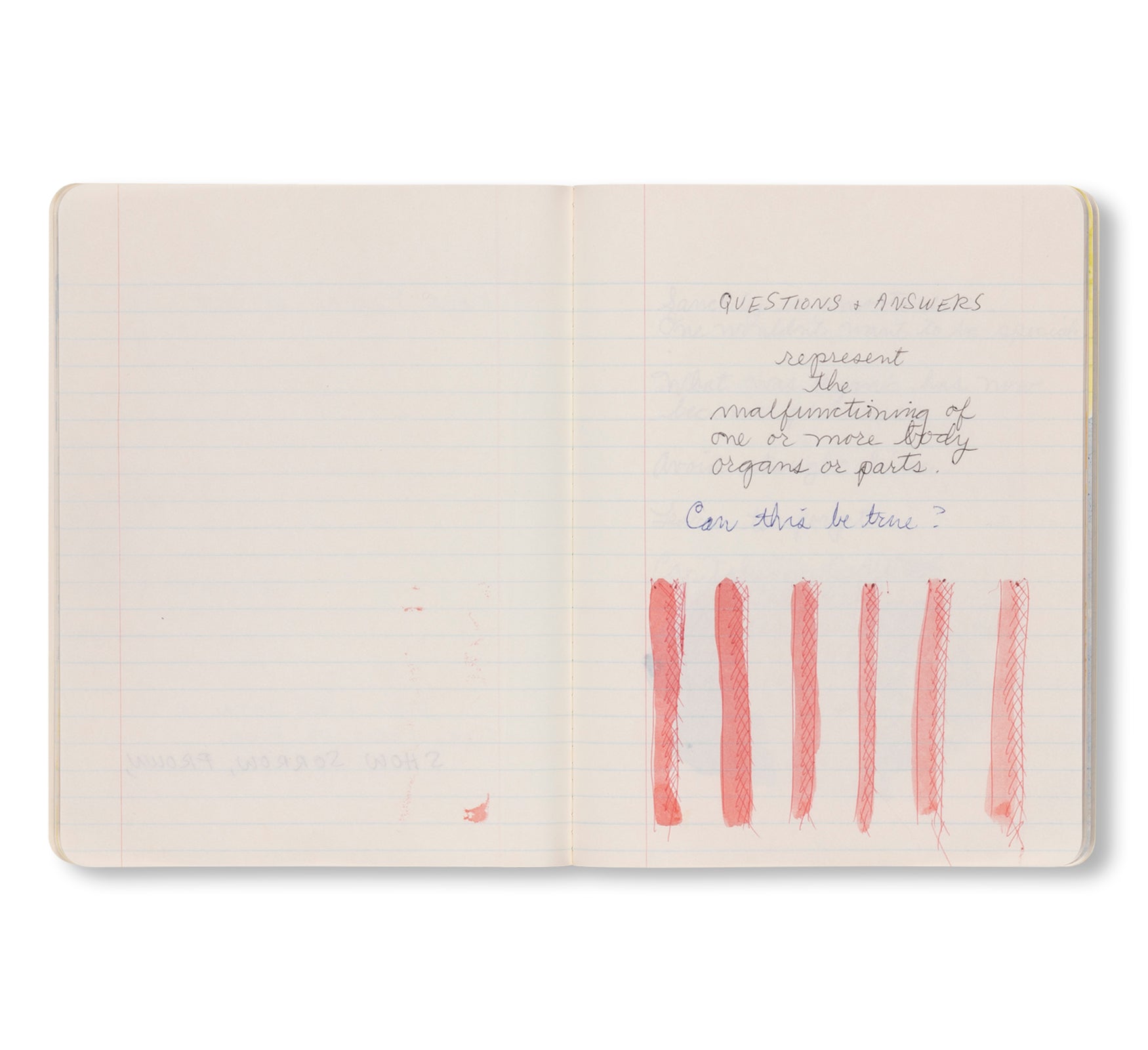 PAUL THEK: NOTEBOOK #41, 1977 by Paul Thek