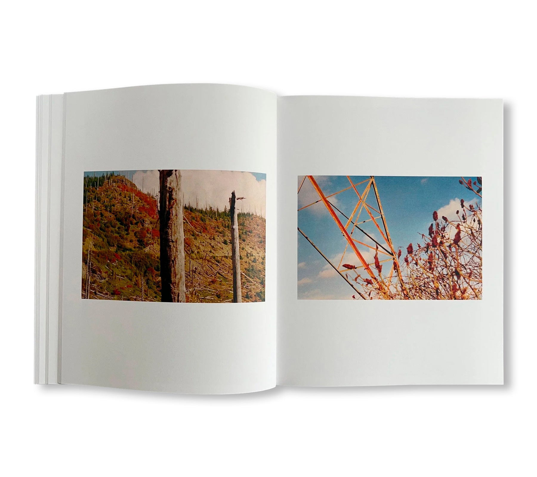 GATES TO THE GARDEN by Adam Kremer