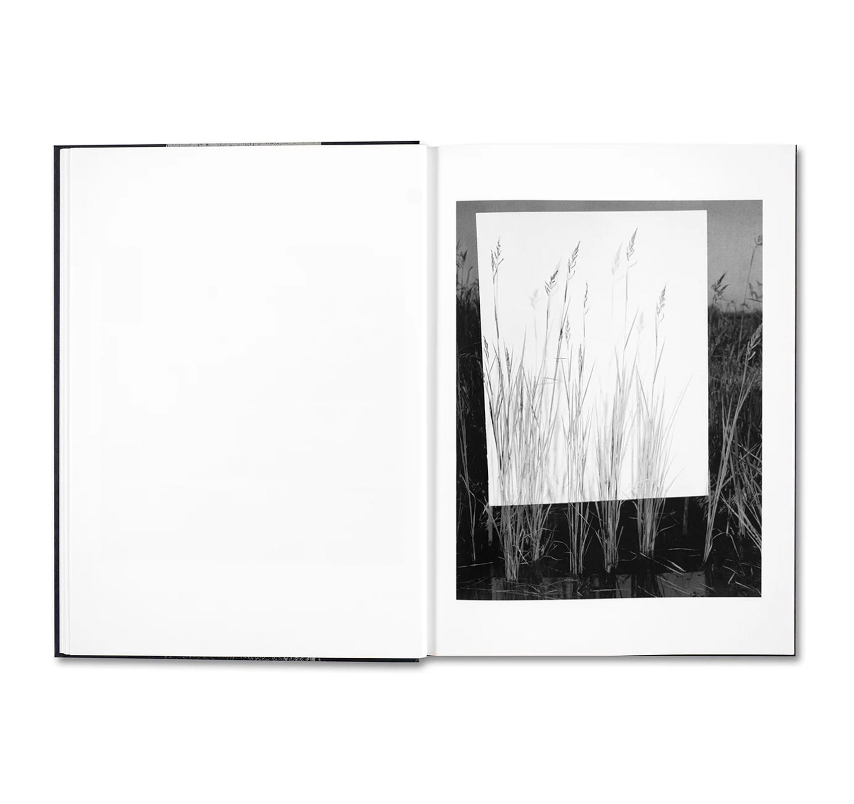 EVIDENCE by James White