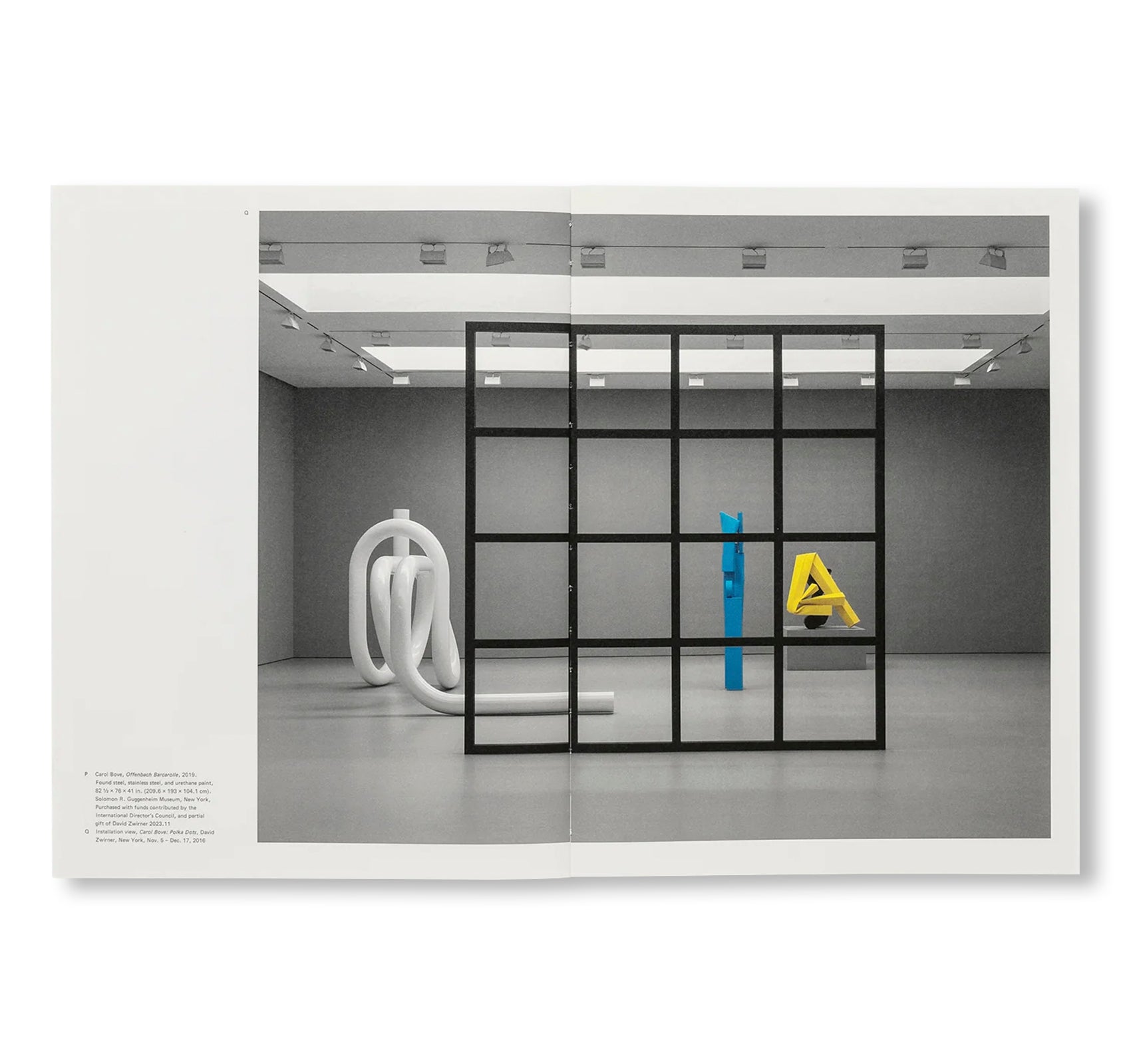 CAROL BOVE by Carol Bove (GUGGENHEIM MUSEUM)