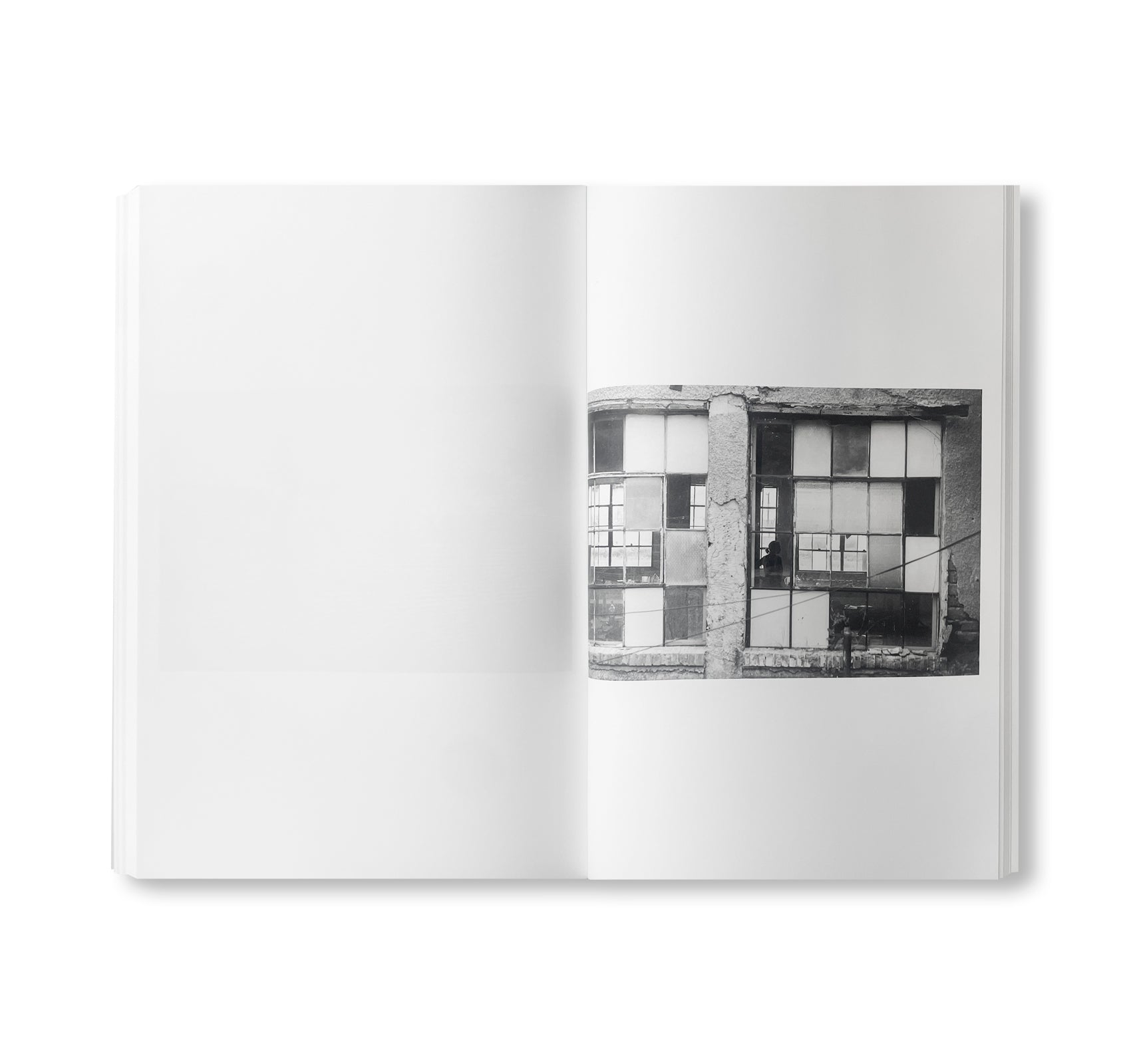 WESTTEXASPSYCHOSCULPTURE by Christopher Wool [SIGNED]