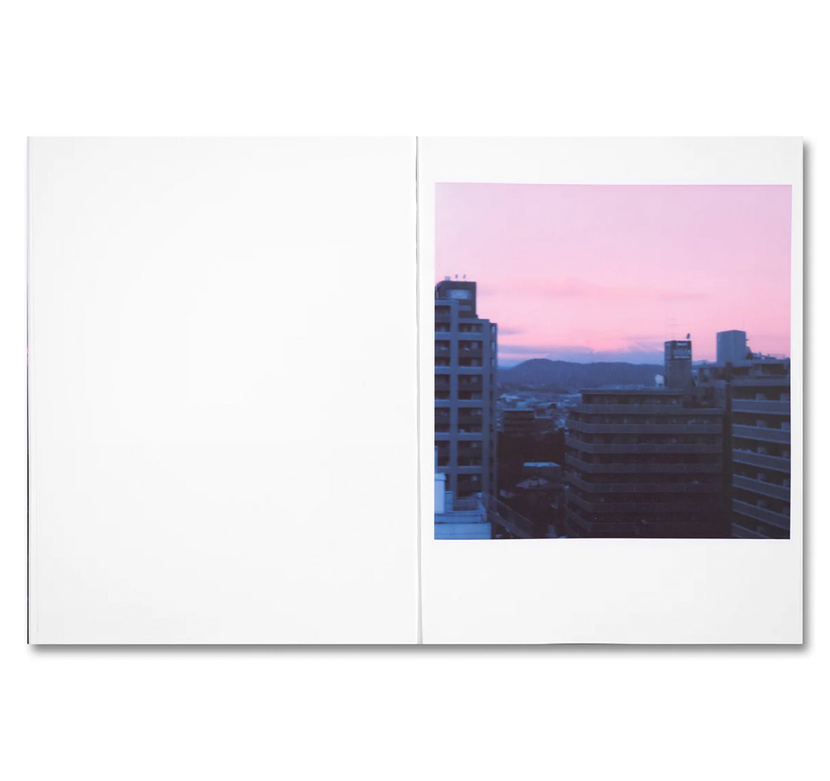 THIRTY-SIX VIEWS OF MOUNT FUJI by Takashi Homma