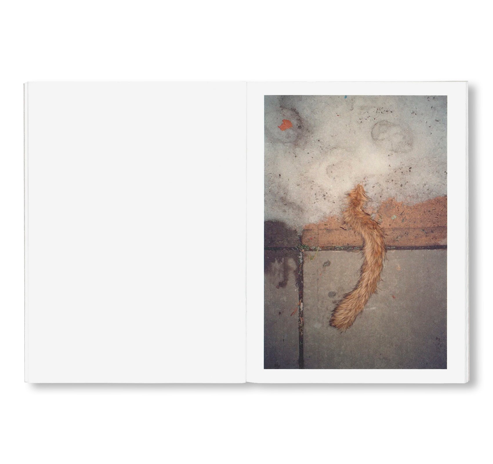 WINTER by Todd Fisher