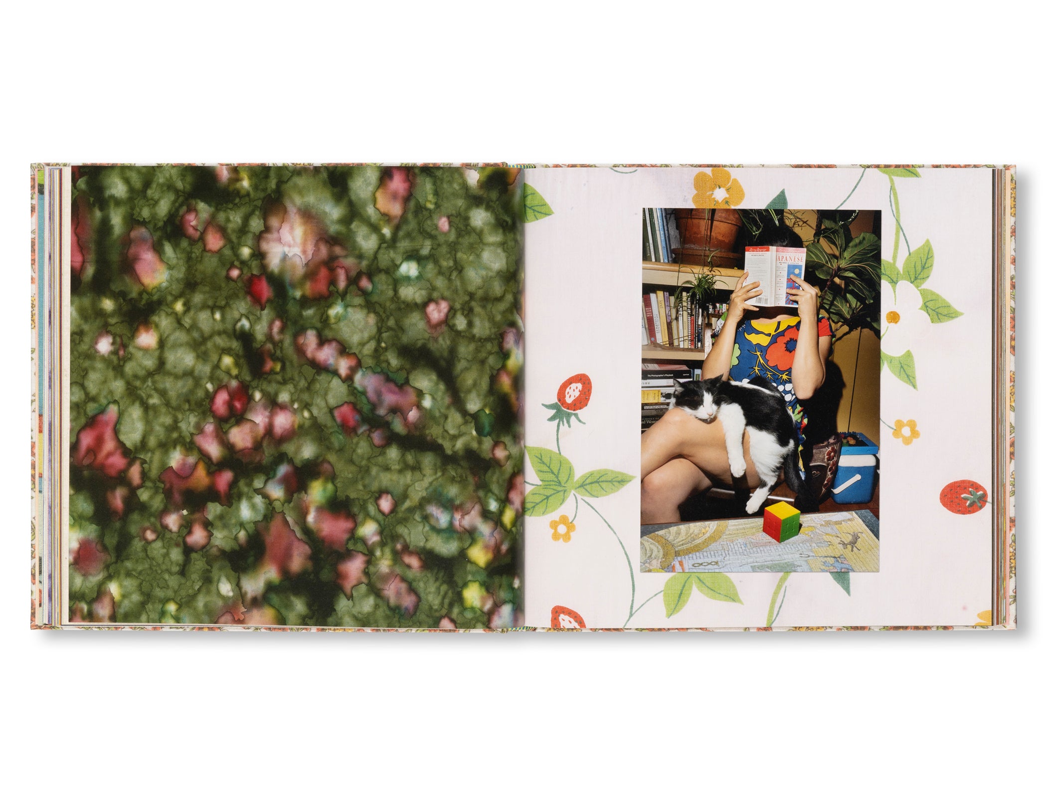 STONE SOUP by Eric Ruby