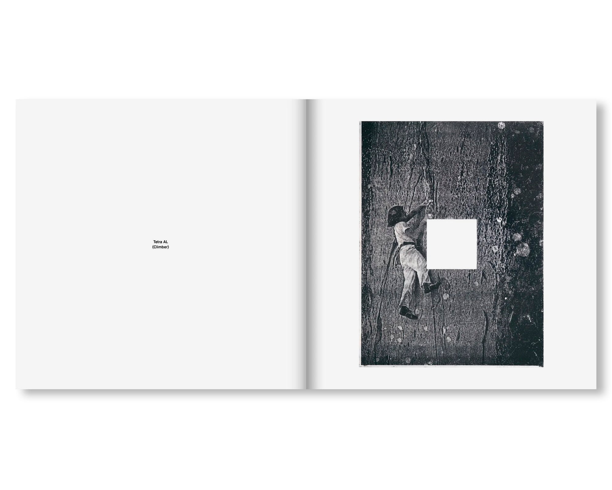 TETRA AL by Jan S. Hansen