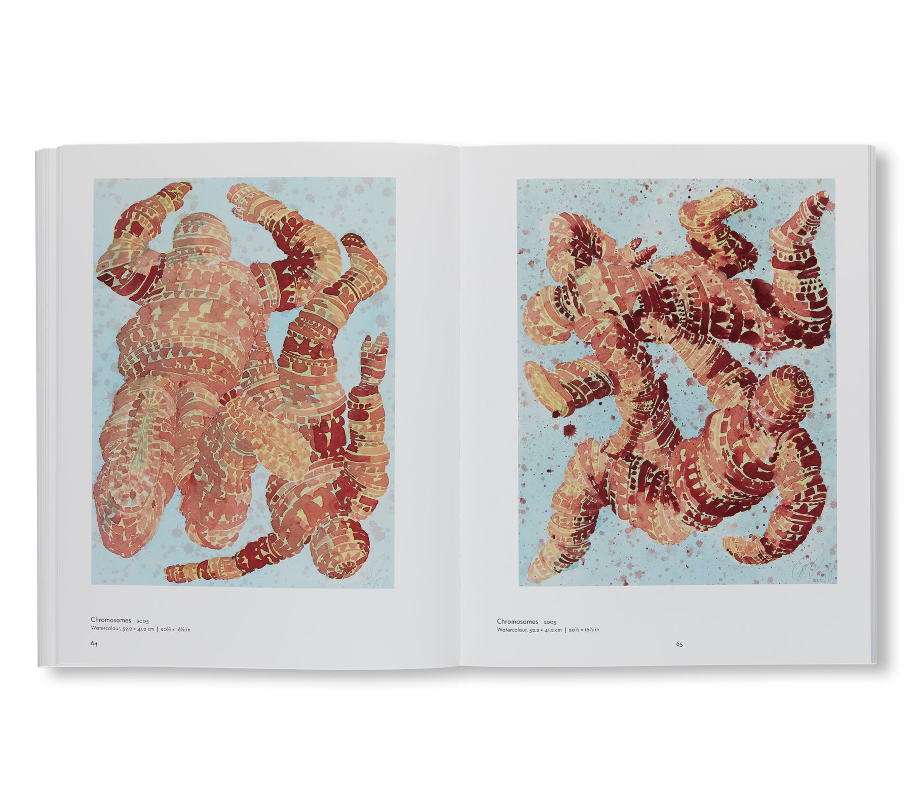 SCULPTURES AND WORKS ON PAPER by Tony Cragg