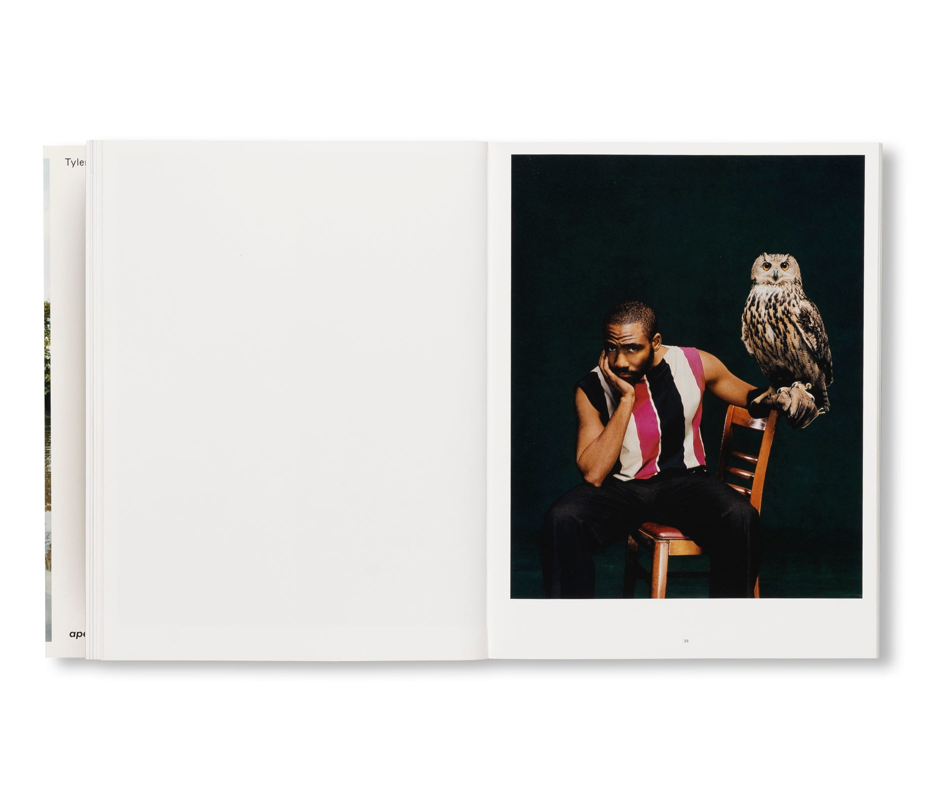 WISH THIS WAS REAL by Tyler Mitchell