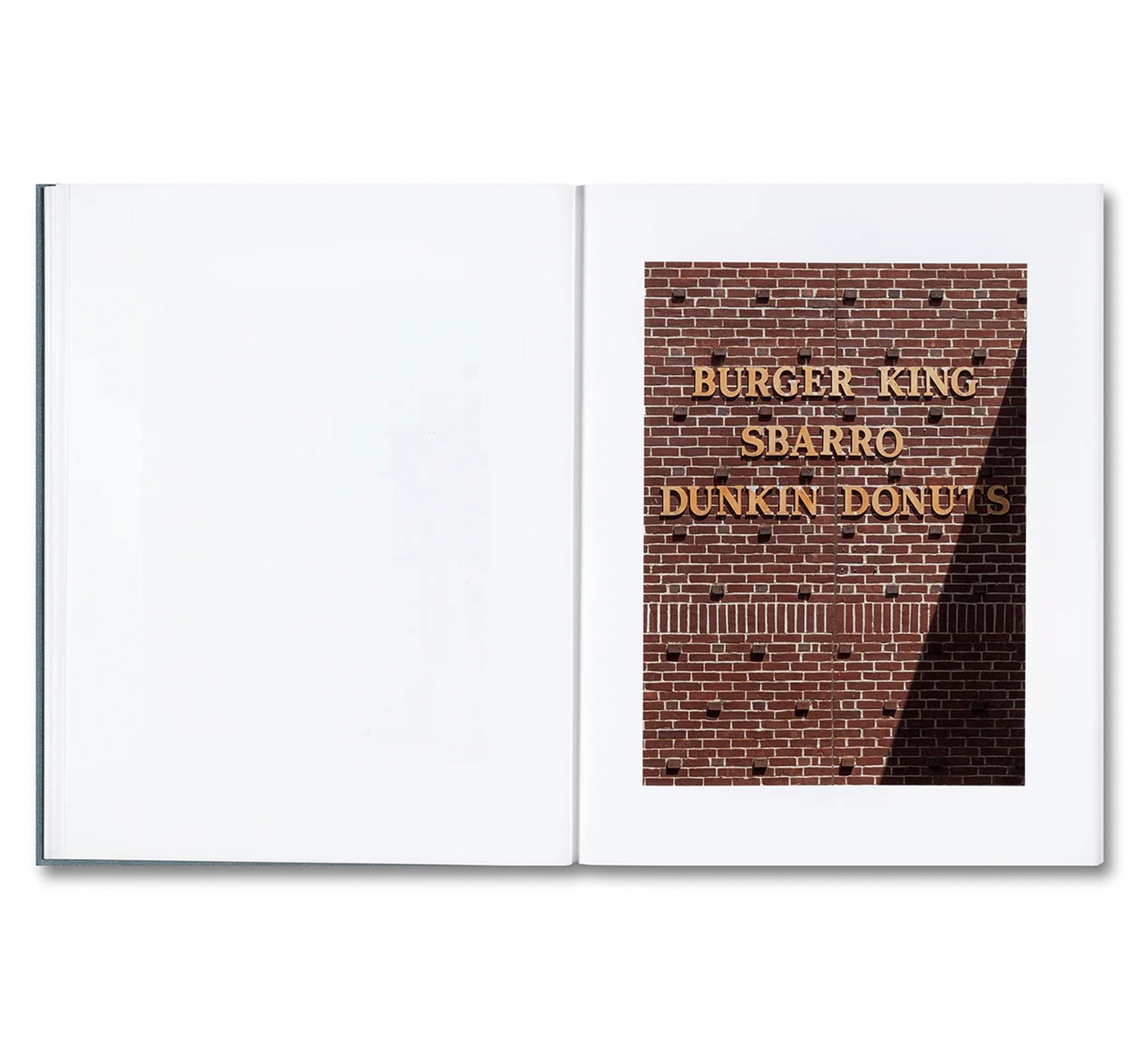 DISTRIBUTION by Daniel Shea [SIGNED]
