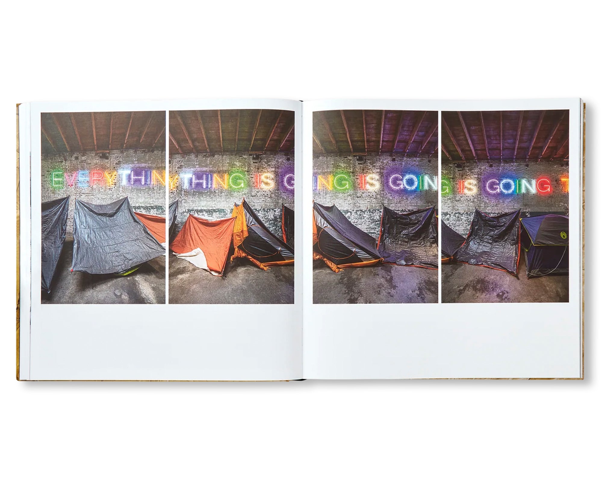 DAVID HAMMONS by David Hammons (HAUSER & WIRTH)