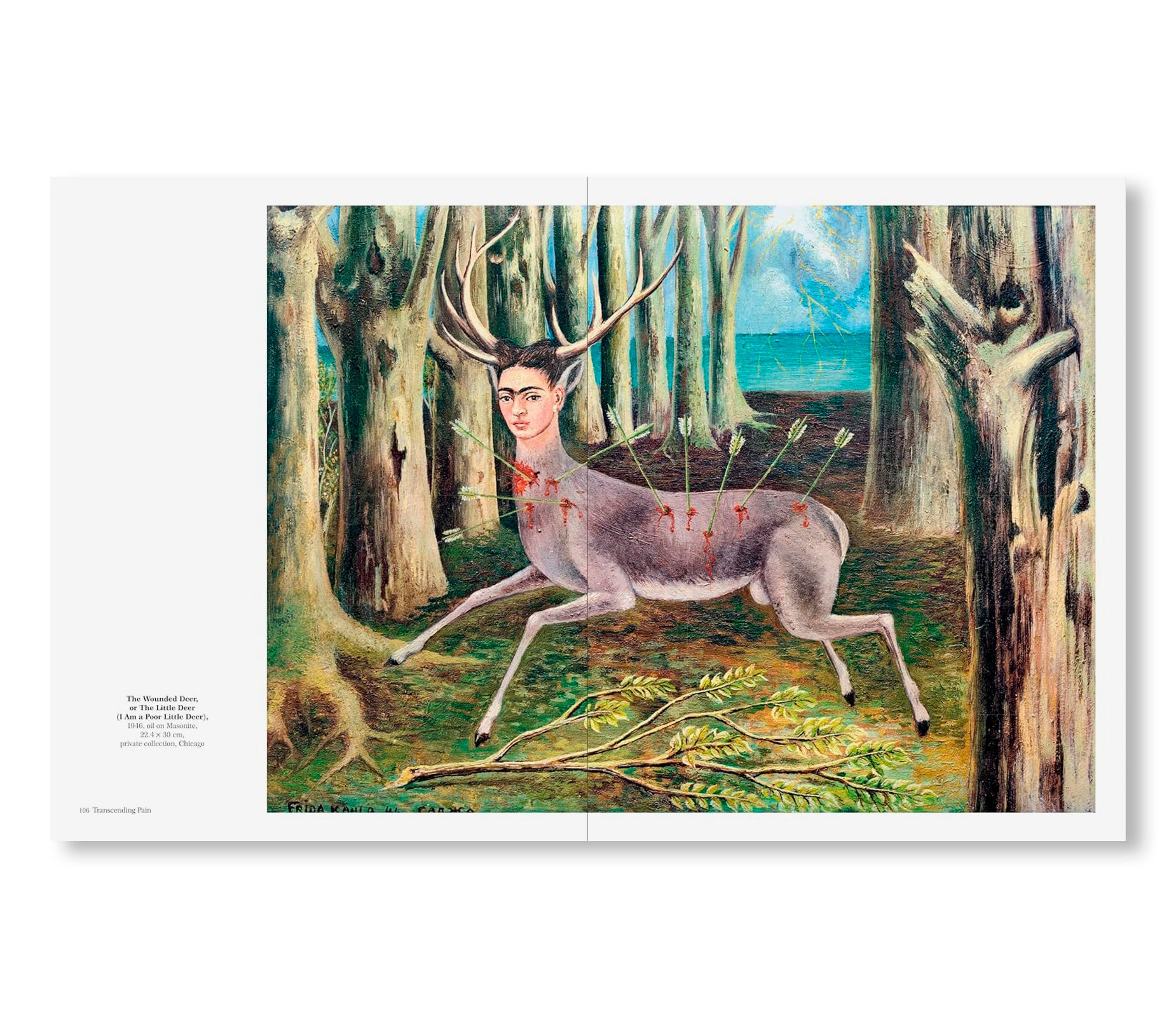 KAHLO - THE BIGGER PICTURE by Inès Boittiaux