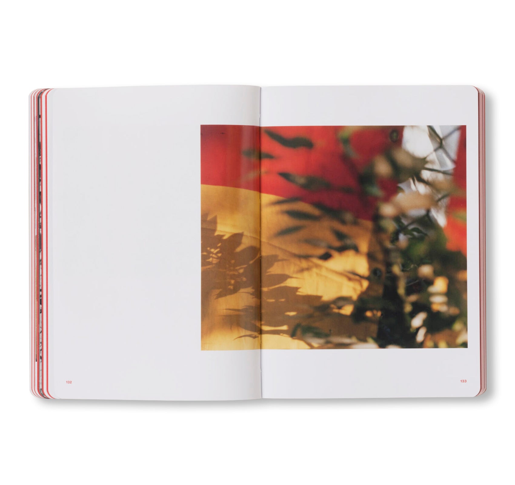 THE ARTIST’S ATLAS: TOKYO