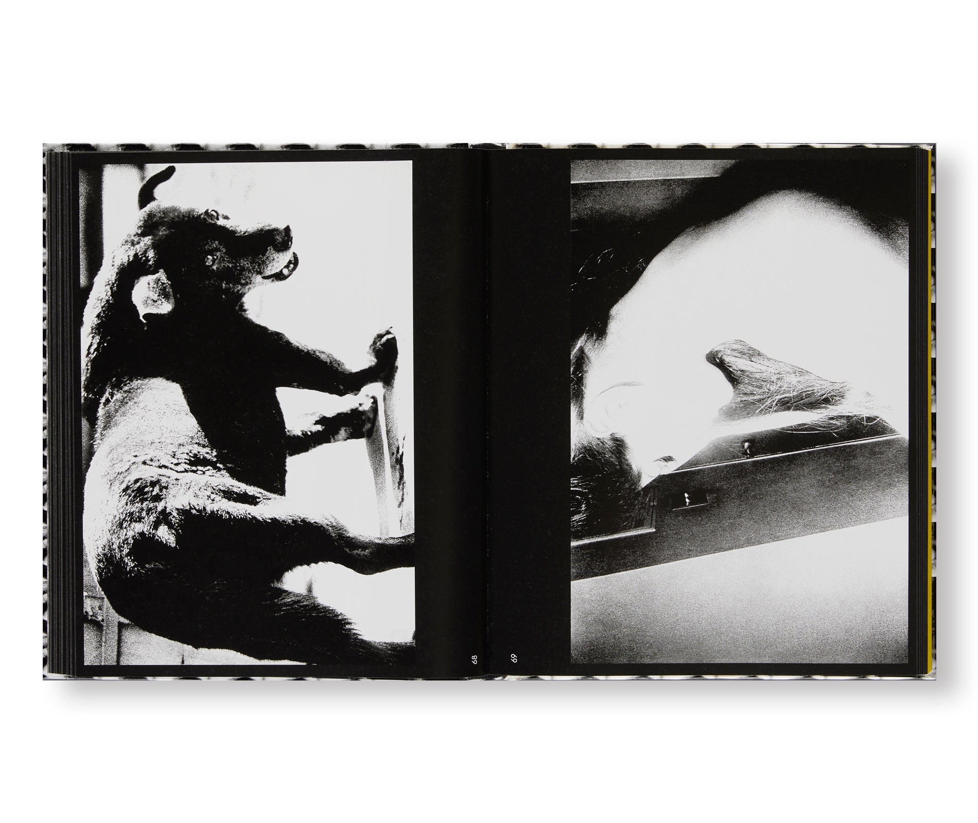 A RETROSPECTIVE by Daido Moriyama