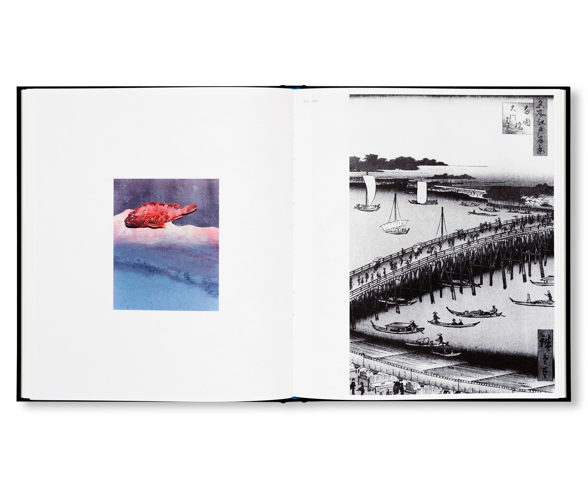 TOKYO FISHGRAPHS | 2020 by Naohiro Harada
