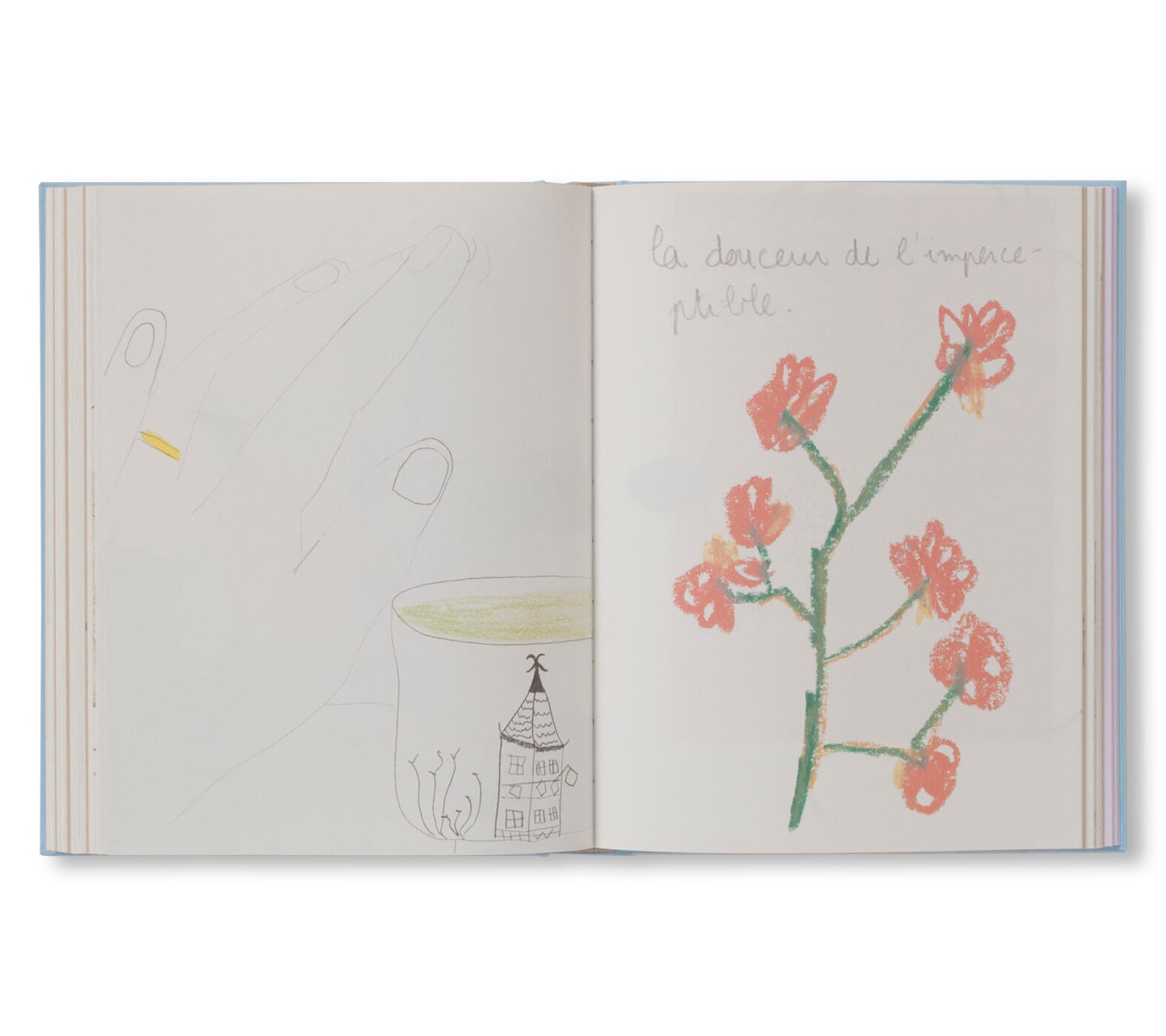 CARNETS by Johanna Tagada