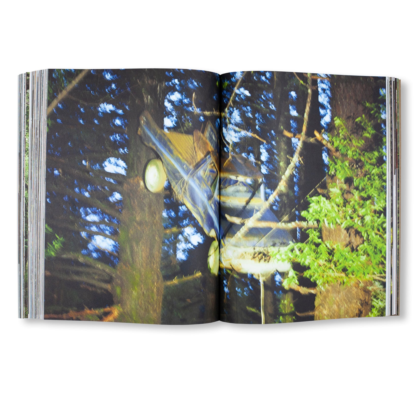 HANDMADE UTOPIA: BACK-TO-THE-LAND ARCHITECTURE IN NORTHERN CALIFORNIA by David Jacob Kramer, Michael Schmelling
