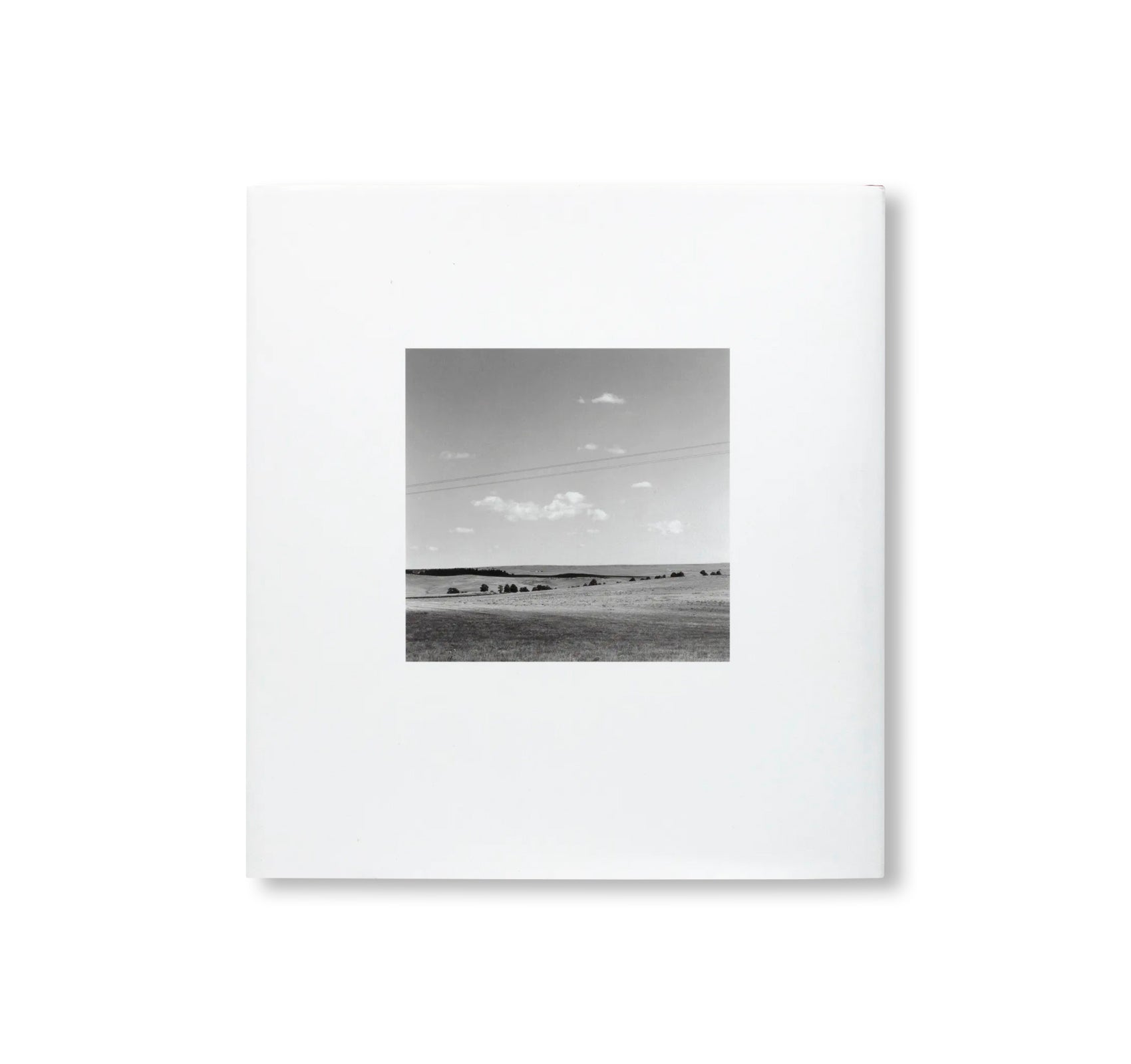 ROBERT ADAMS: CONTACT by Robert Adams