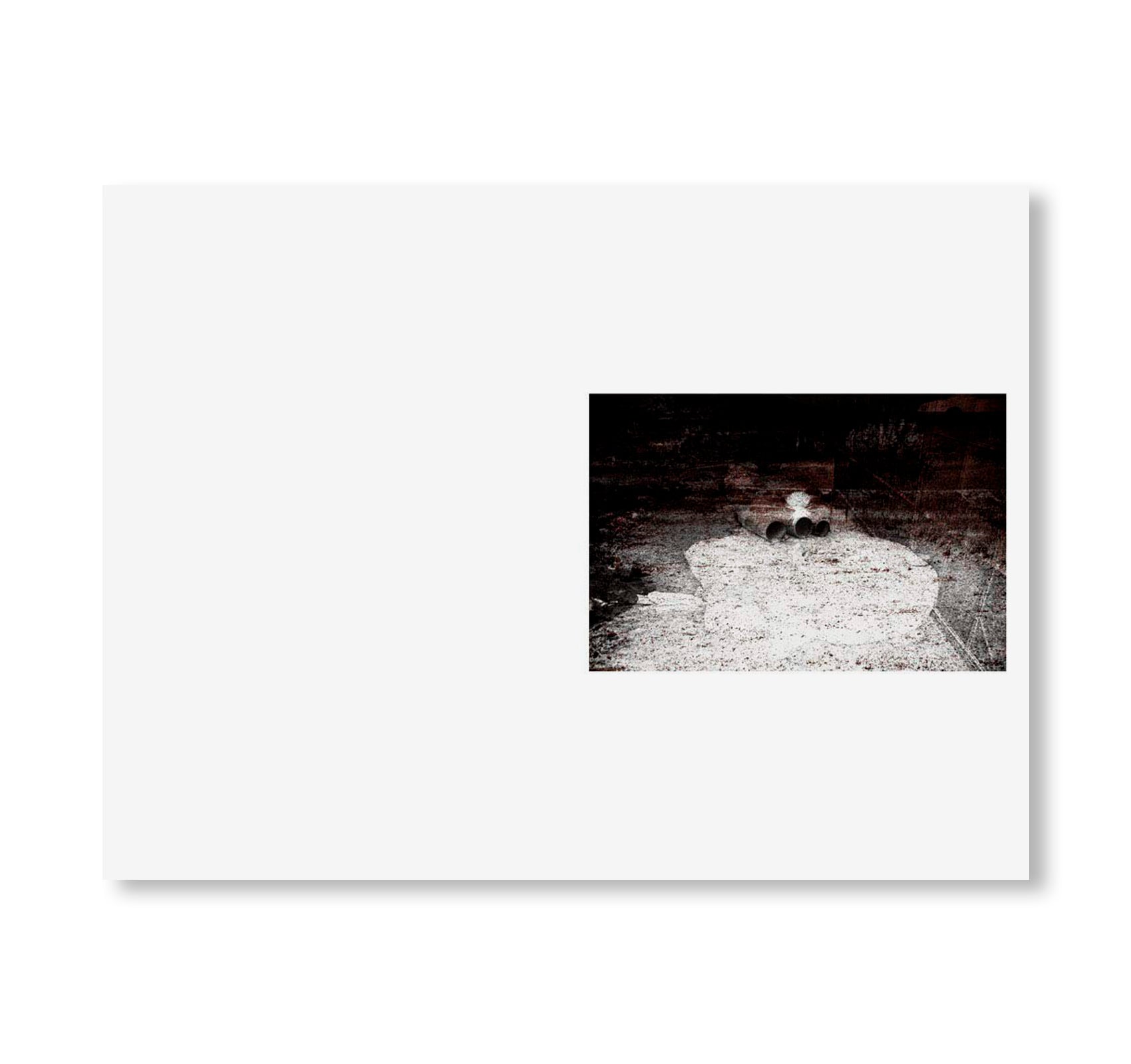 SWAMP by Christopher Wool [SIGNED]