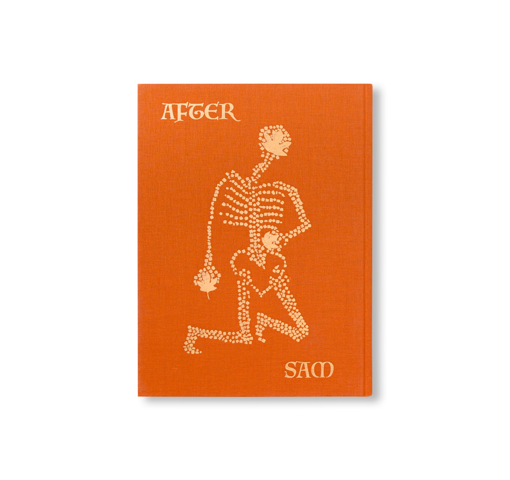 AFTER LIFE by Sam Falls