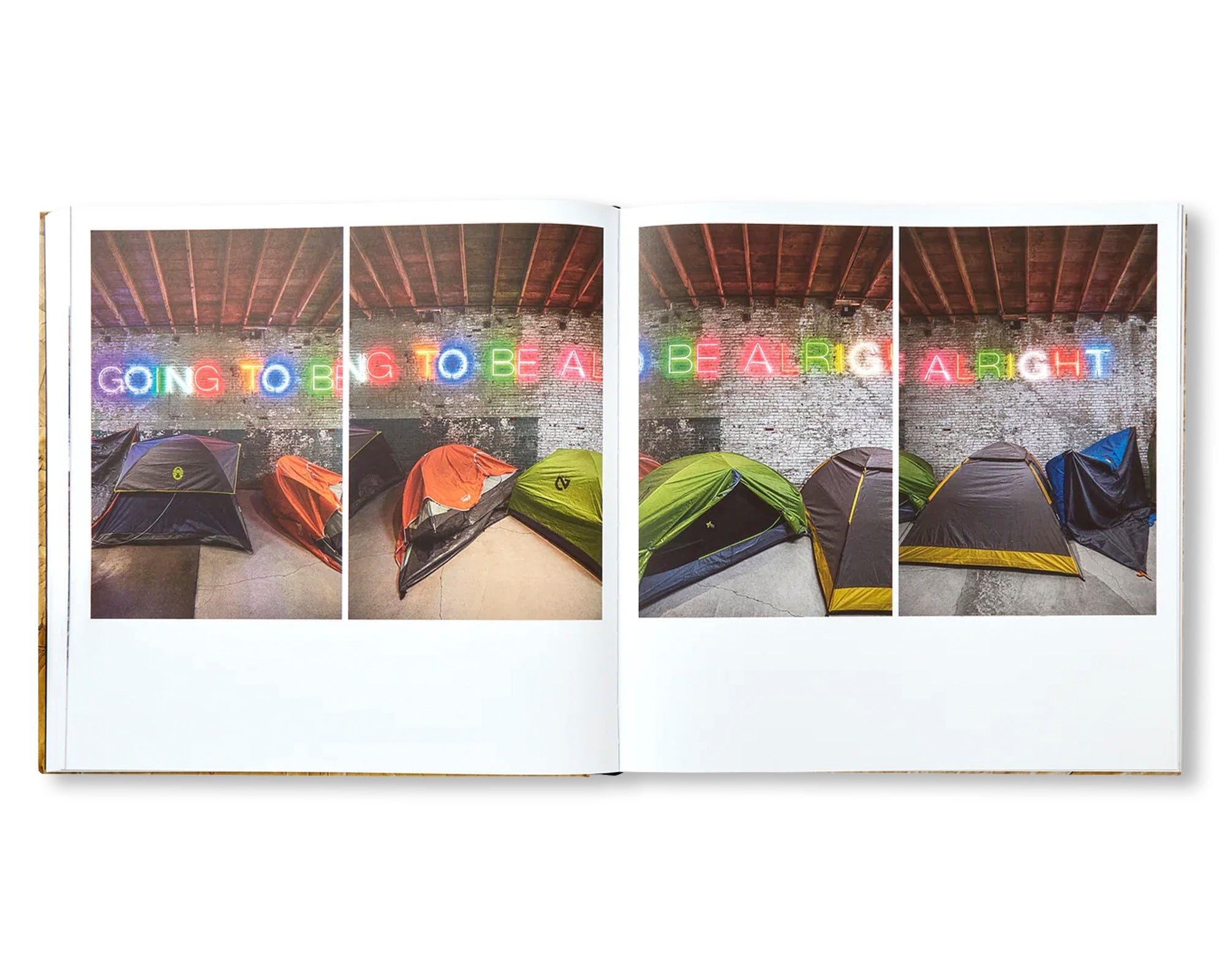 DAVID HAMMONS by David Hammons (HAUSER & WIRTH)