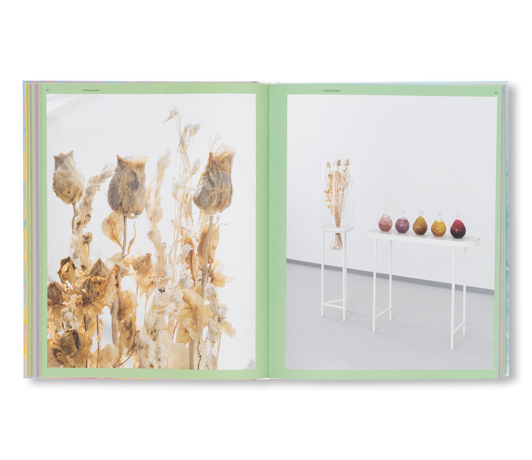 THE SENSES OF PLANTS