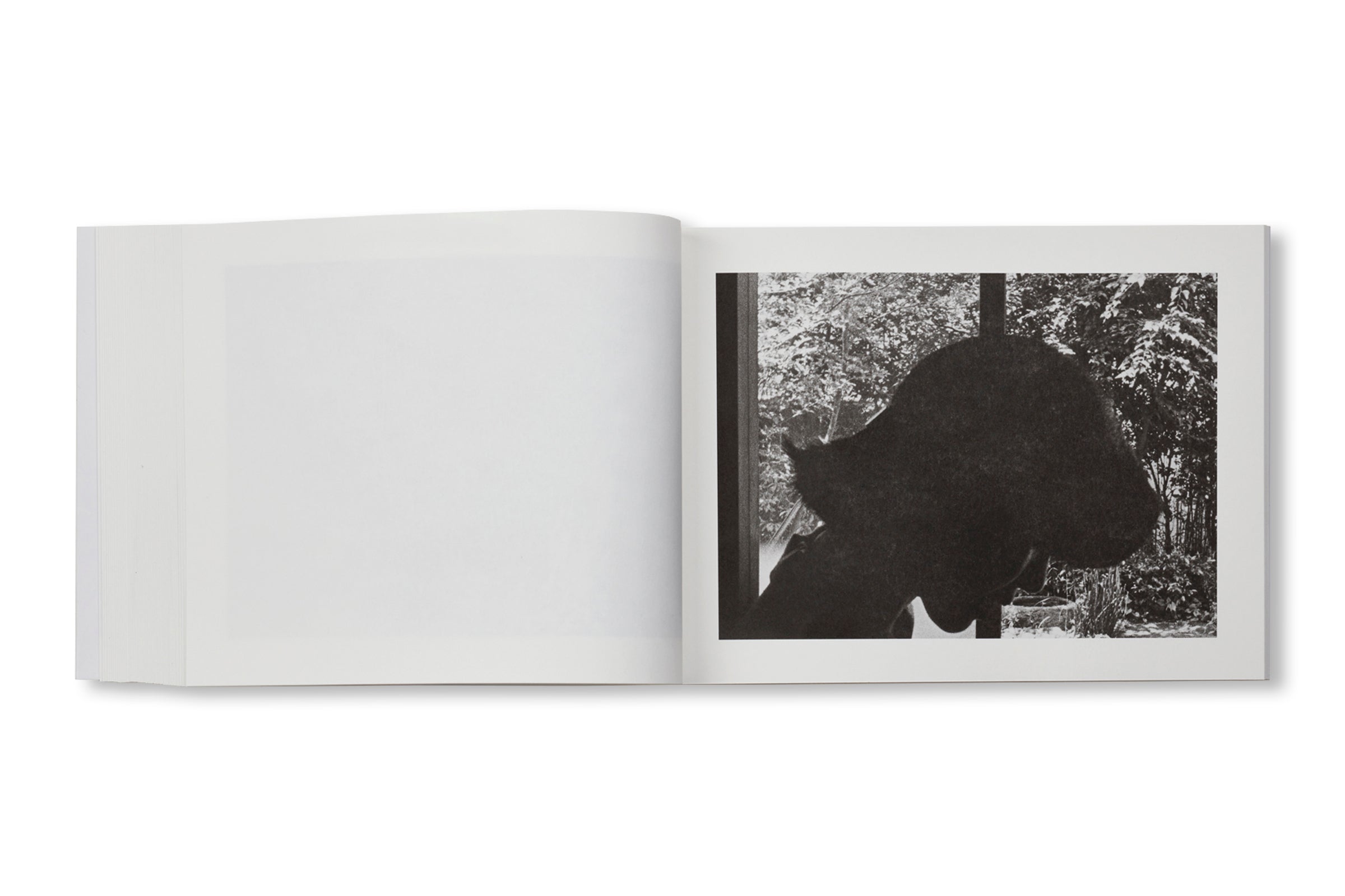 FAMILY DIARY by Issei Suda