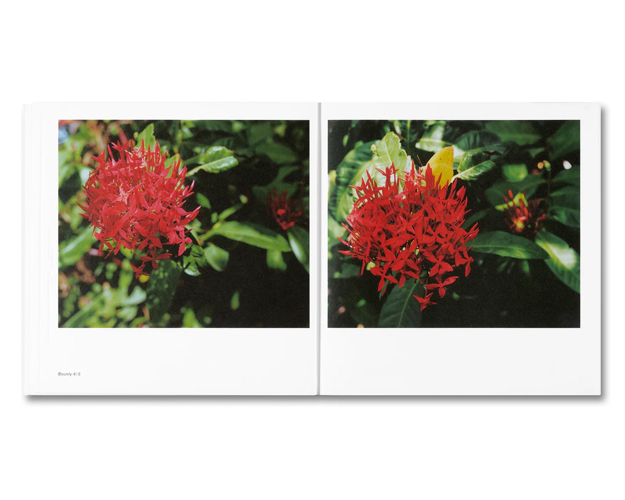 BOUNTY by Steve McQueen