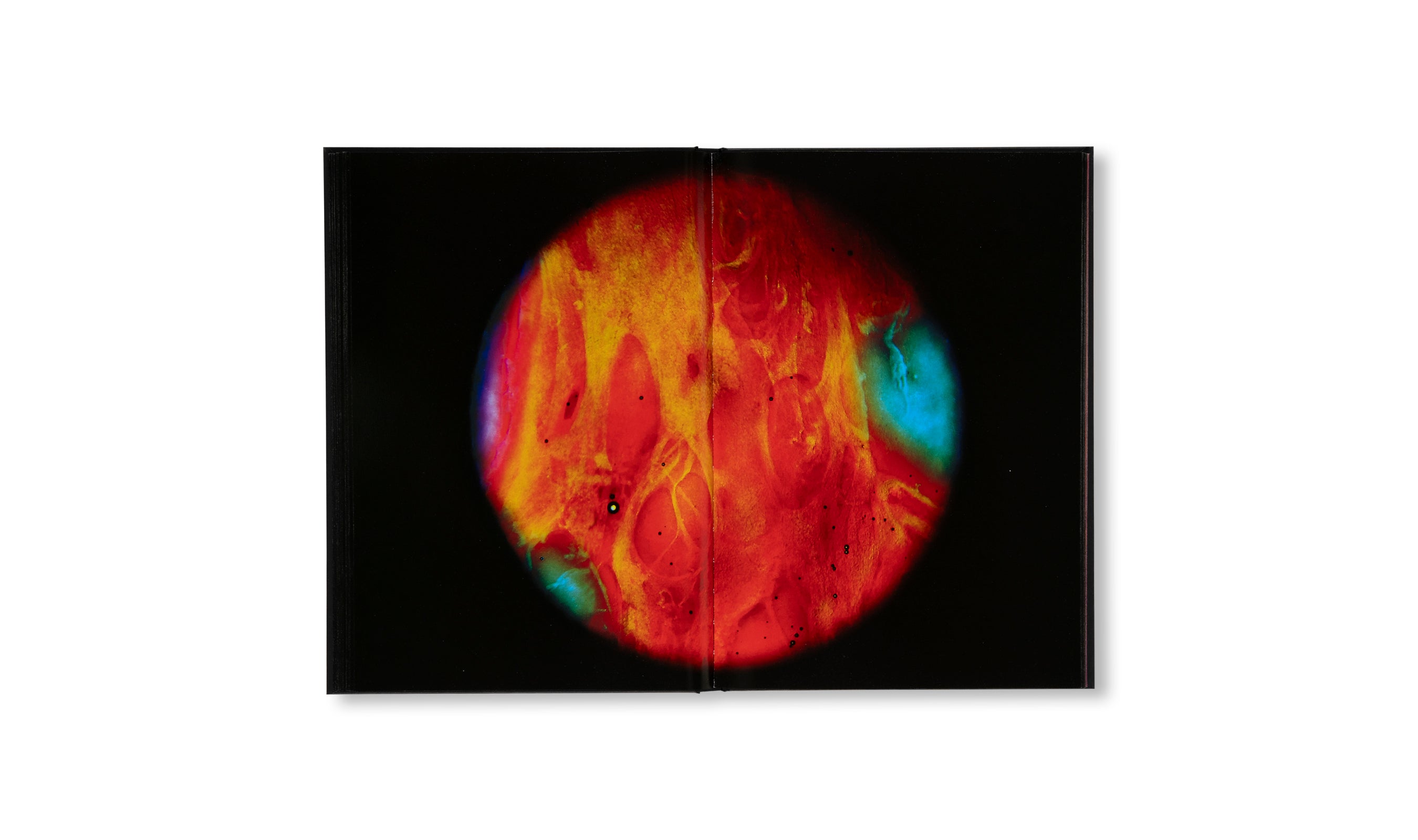 MY BLOODY HAND by Momo Okabe [SIGNED]