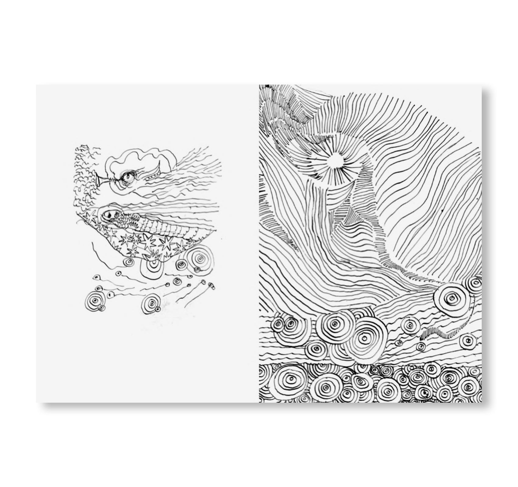 A CONGREGATION OF CLOUDS - N° 6 SOUNDSHINE by Moki Cherry [INDIVIDUAL ZINES]