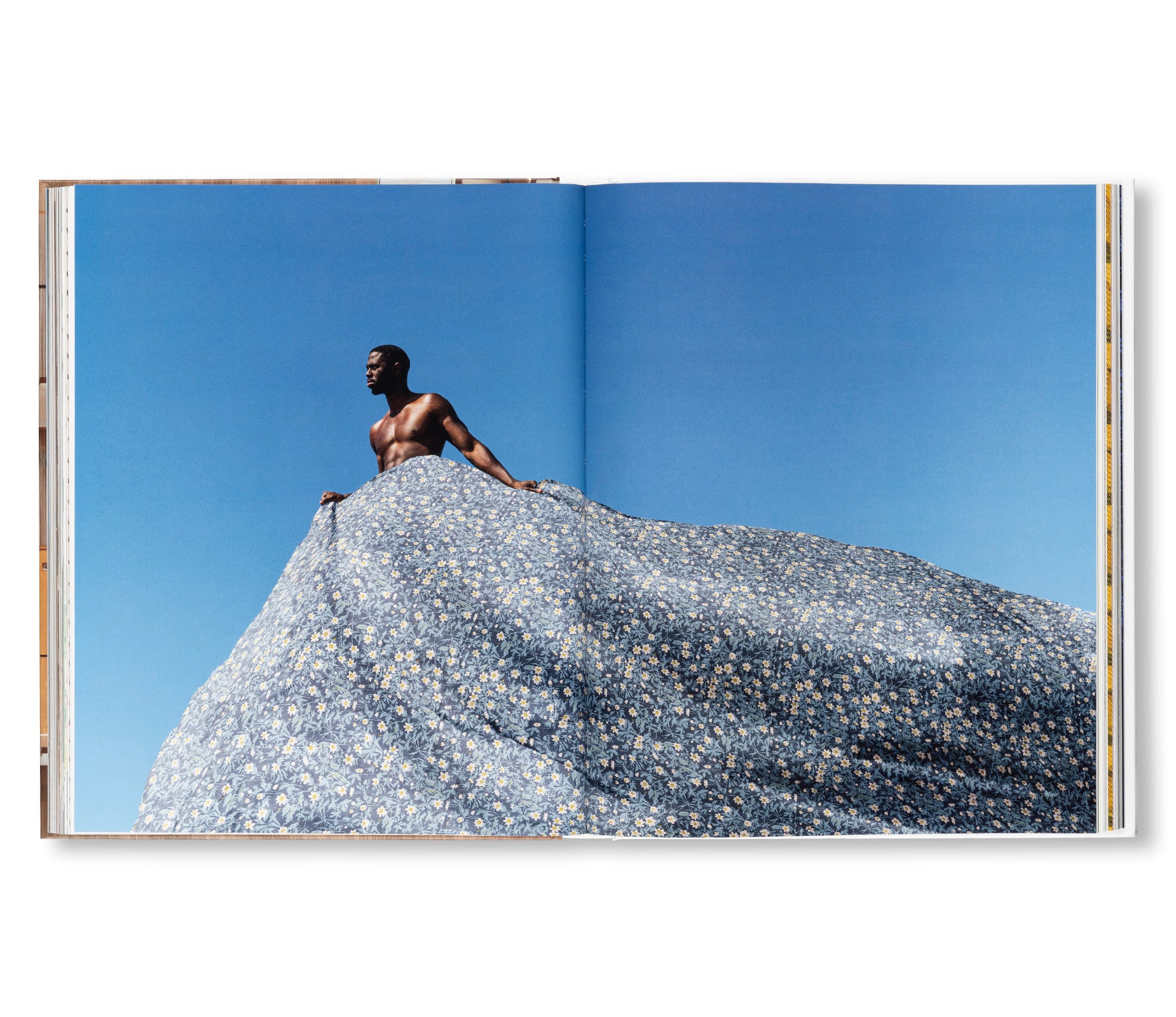 THE DESIGNS OF ARNE JACOBSEN: INTERIORS, FURNITURE, LIGHTING AND TEXTILES, 1925–1971 by Arne Jacobsen