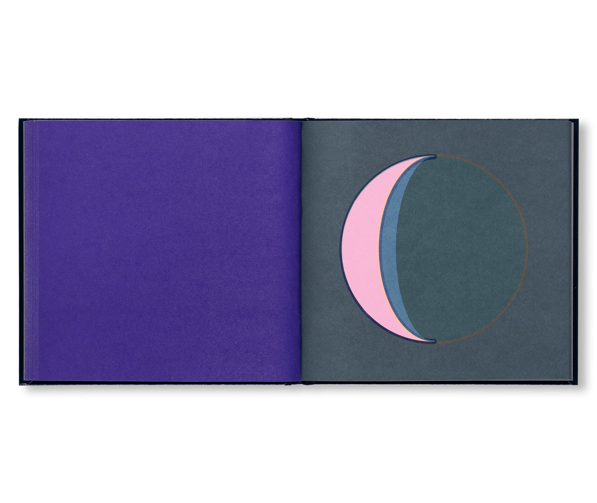DANS LA LUNE by Fanette Mellier [THIRD EDITION]