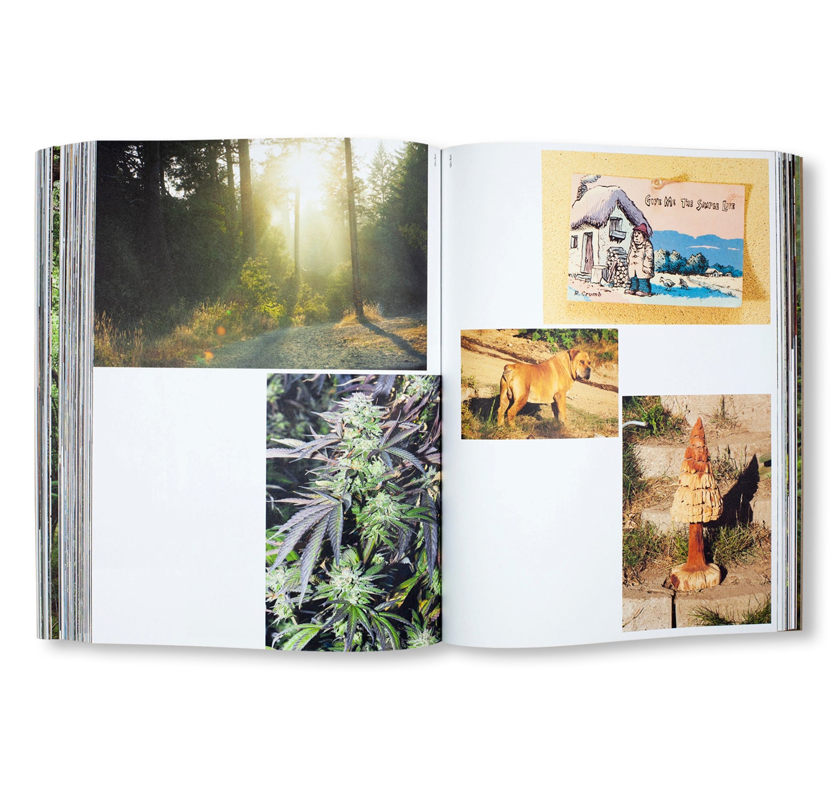 HANDMADE UTOPIA: BACK-TO-THE-LAND ARCHITECTURE IN NORTHERN CALIFORNIA by David Jacob Kramer, Michael Schmelling