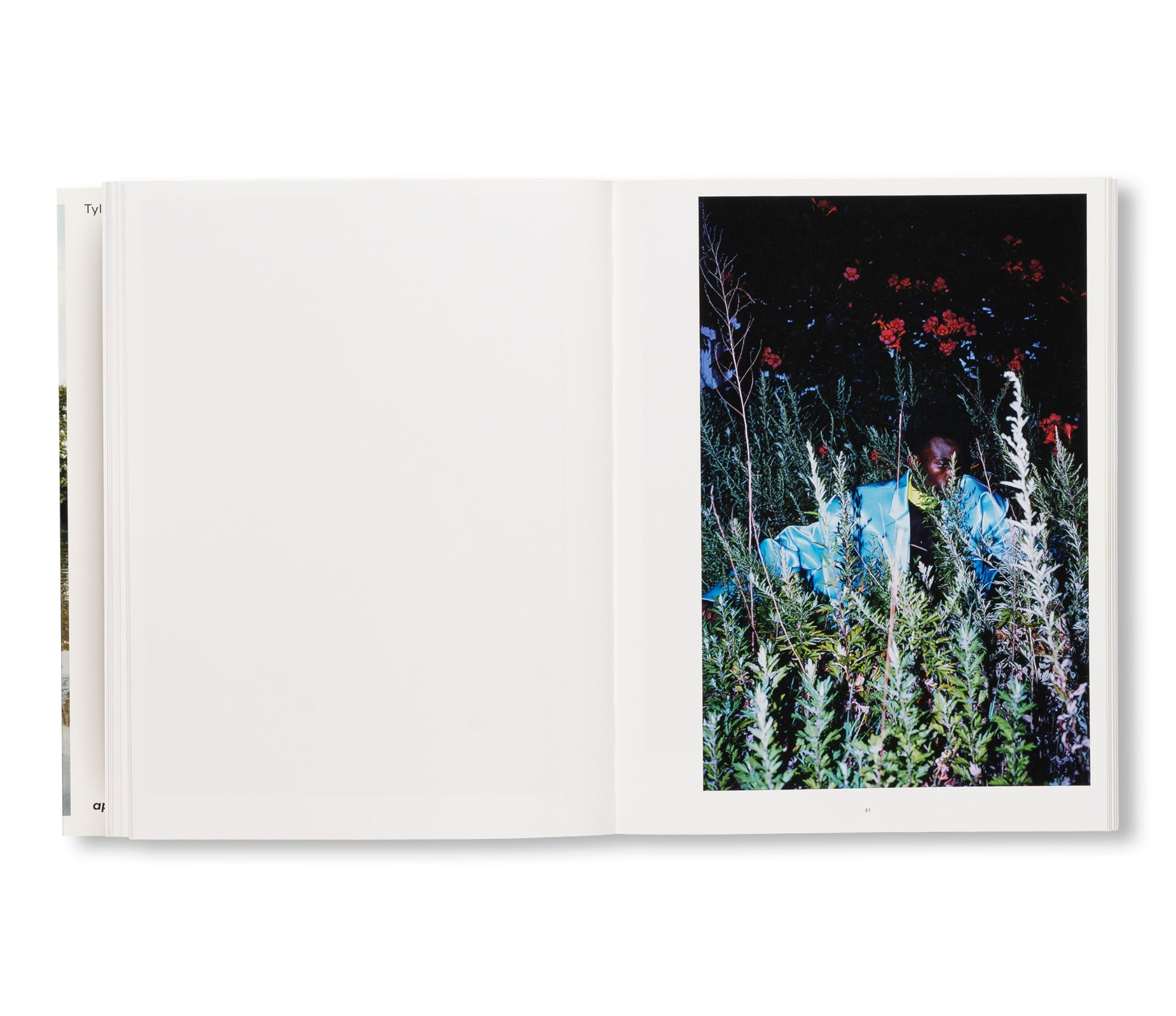 WISH THIS WAS REAL by Tyler Mitchell