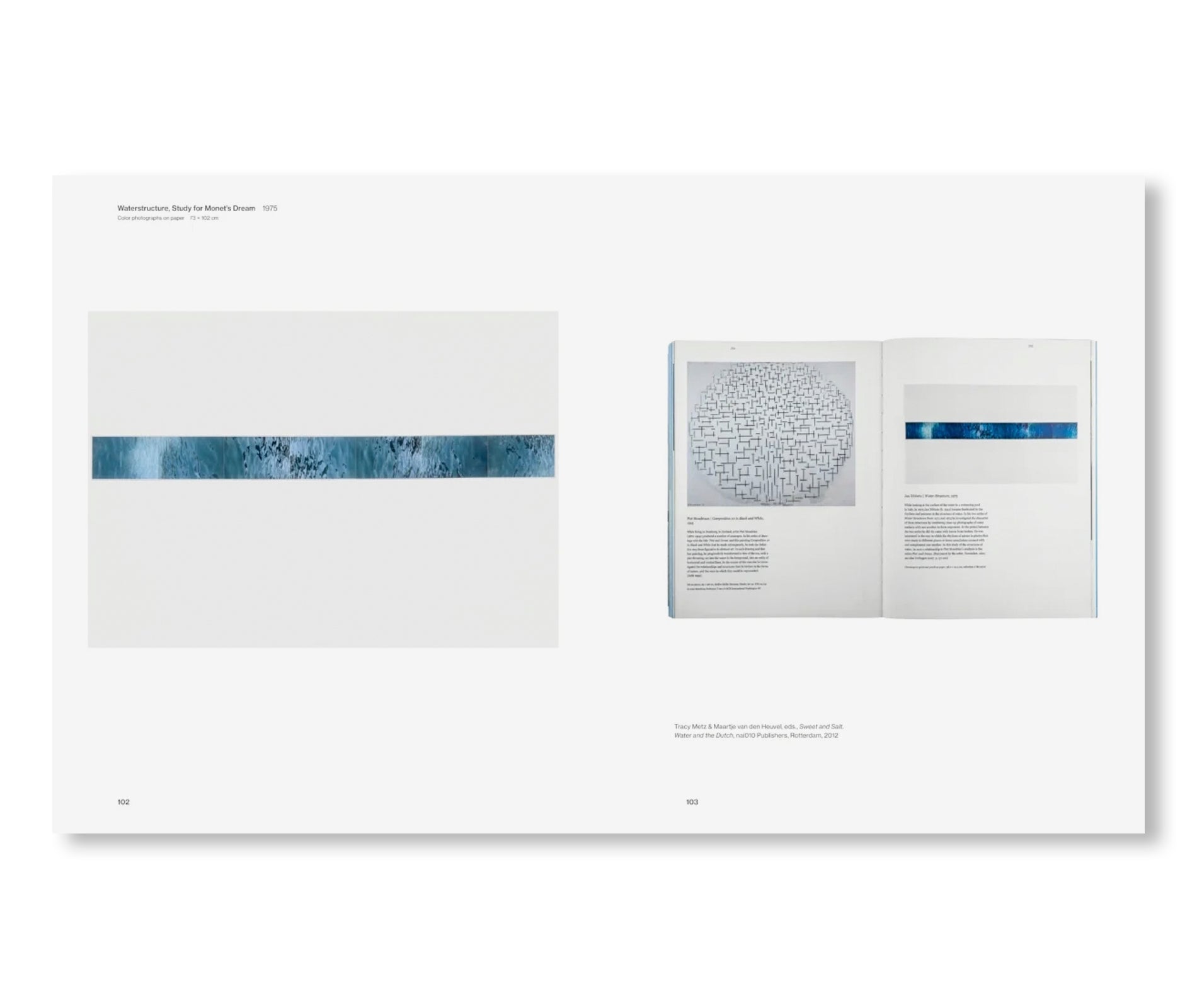 JAN DIBBETS 1966-1976: TOWARD ANOTHER PHOTOGRAPHY by Jan Dibbets