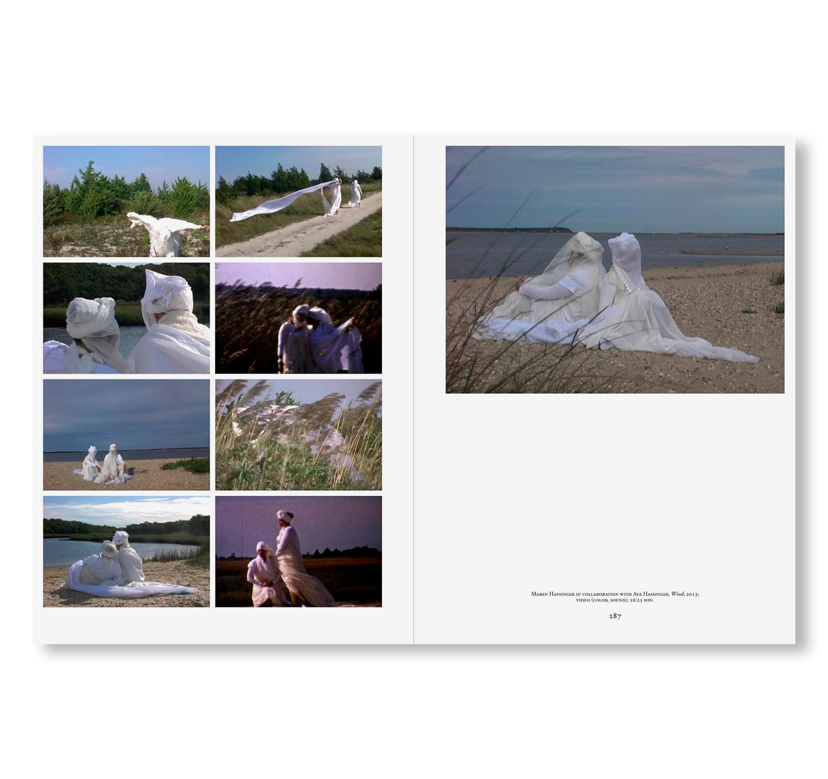 MAREN HASSINGER: LIVING MOVING GROWING by Maren Hassinger
